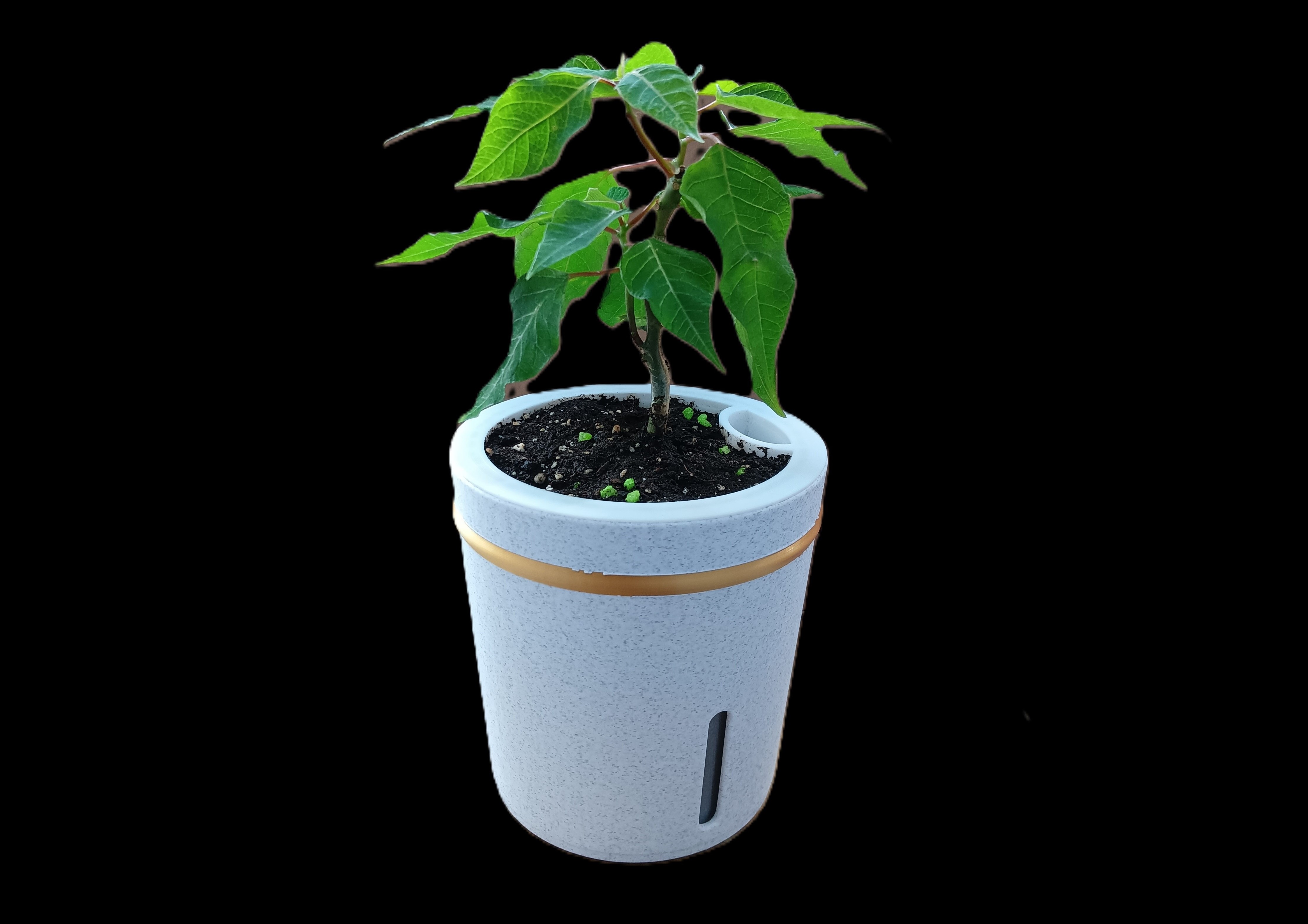 Self Watering Plant Pot By OSee3D Download Free STL Model self-watering-plant-pot-by-osee3d-download-free-stl-model