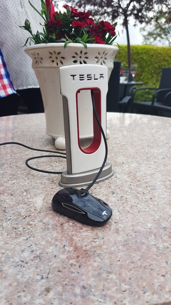 Tesla charger for USB-C Type phones.