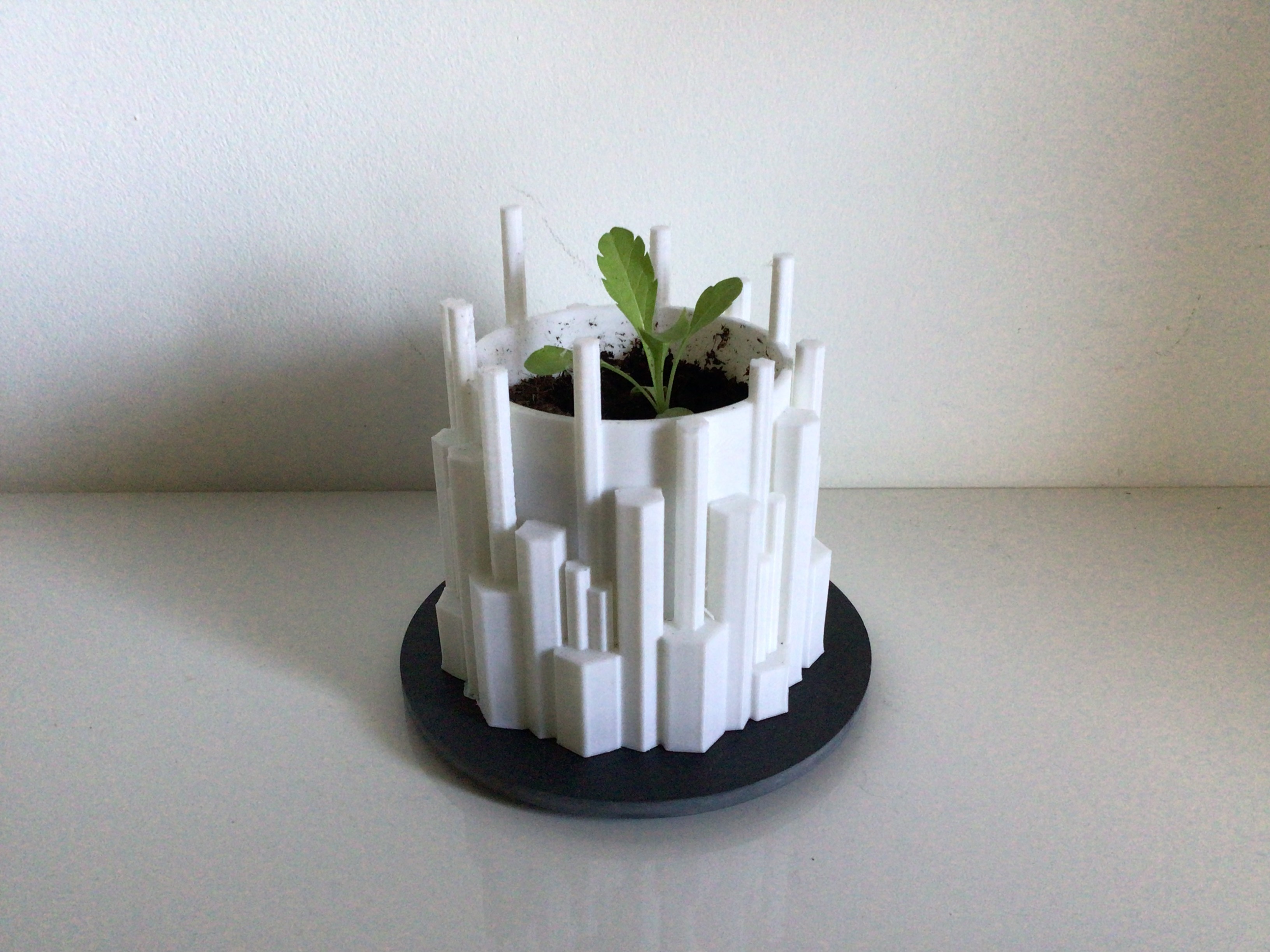 Plantpot Basaltic columns