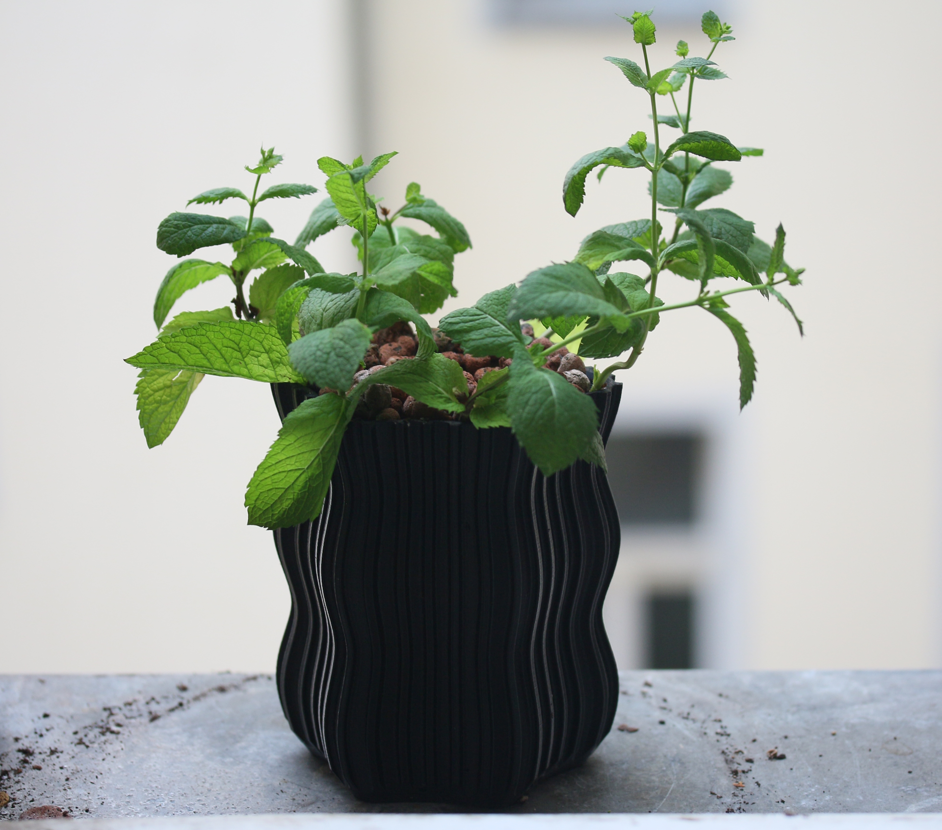 "Verdant" - 3D Printed Plant and Flower Pot