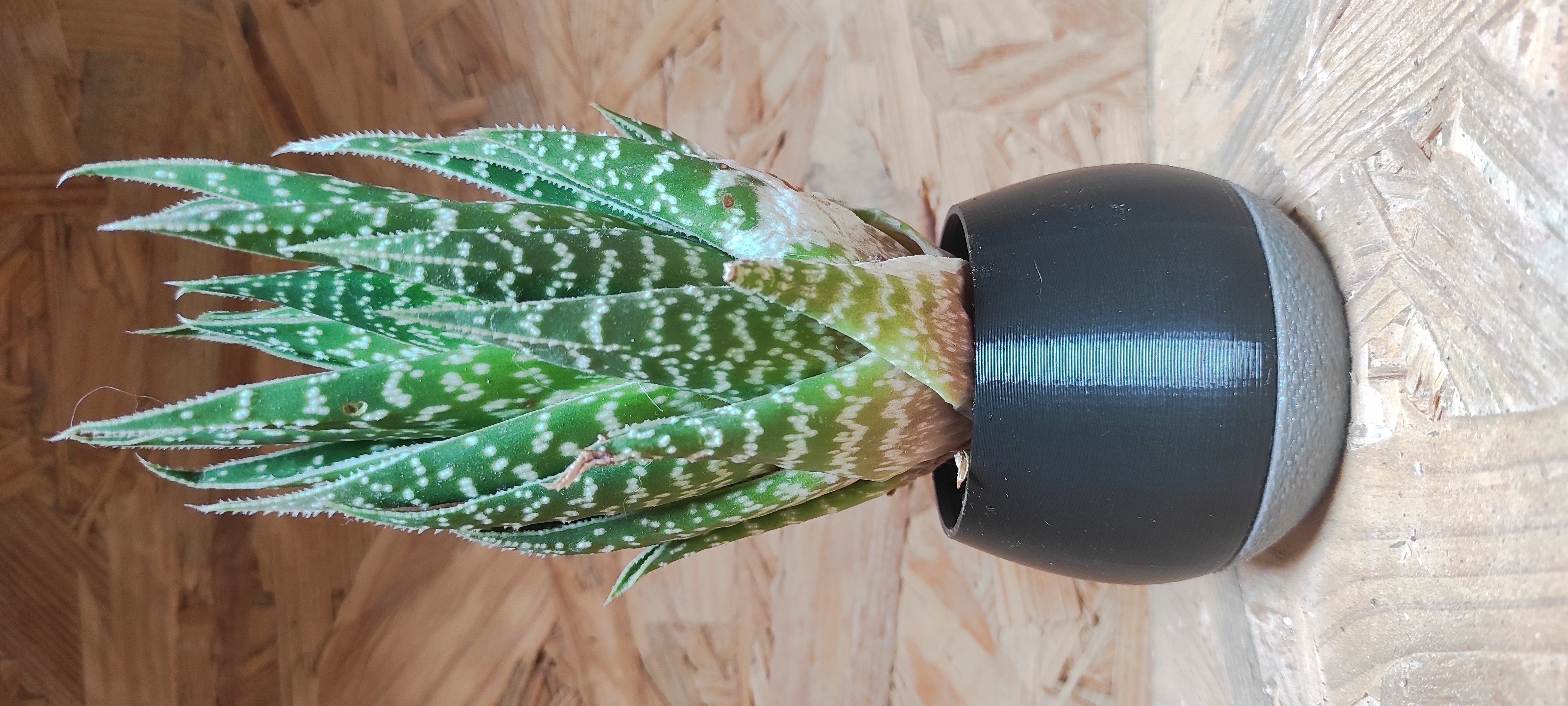 Planter - réservoir d'eau
