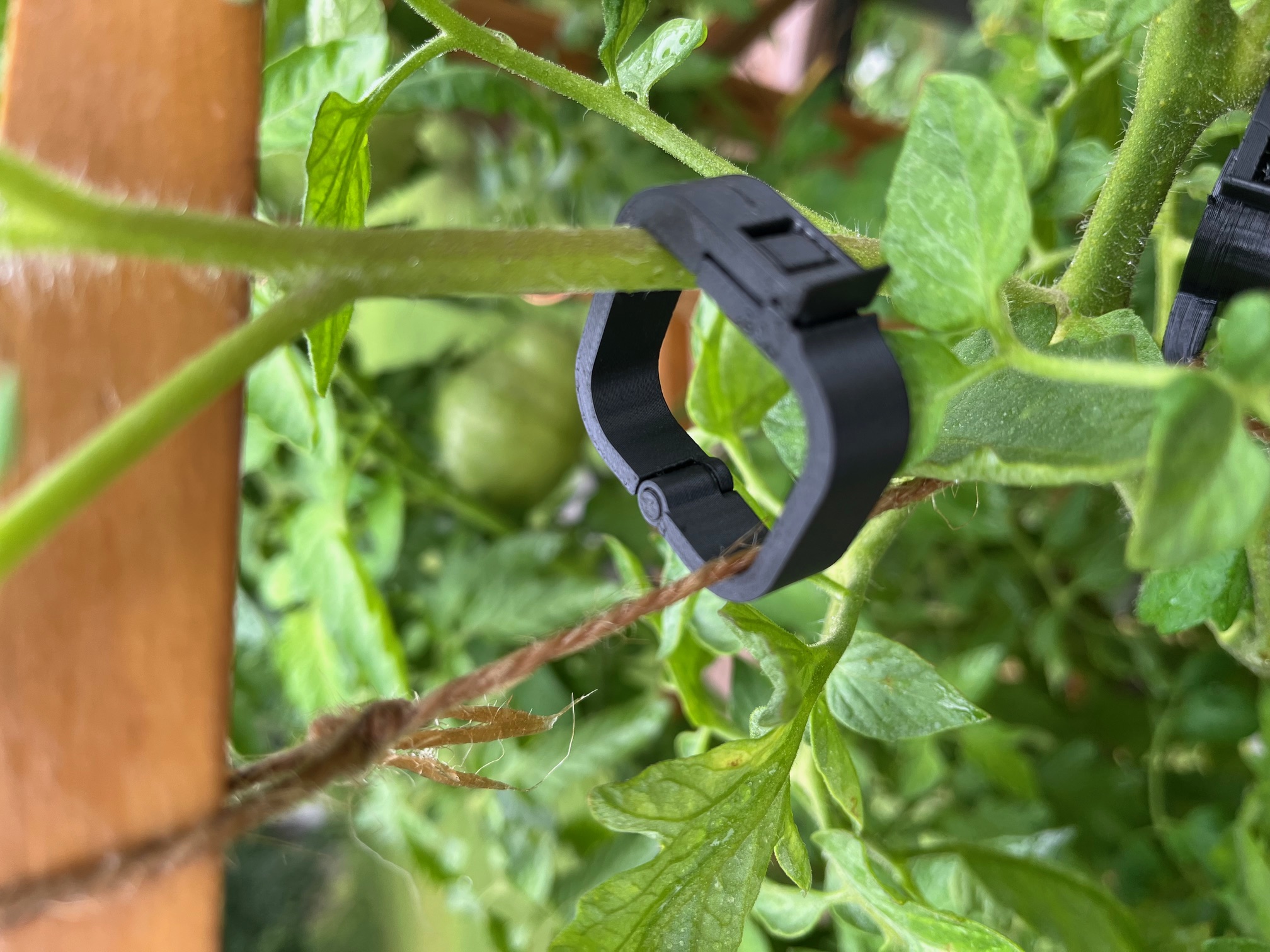 Garden Tomato Vegetable Hinged Clip