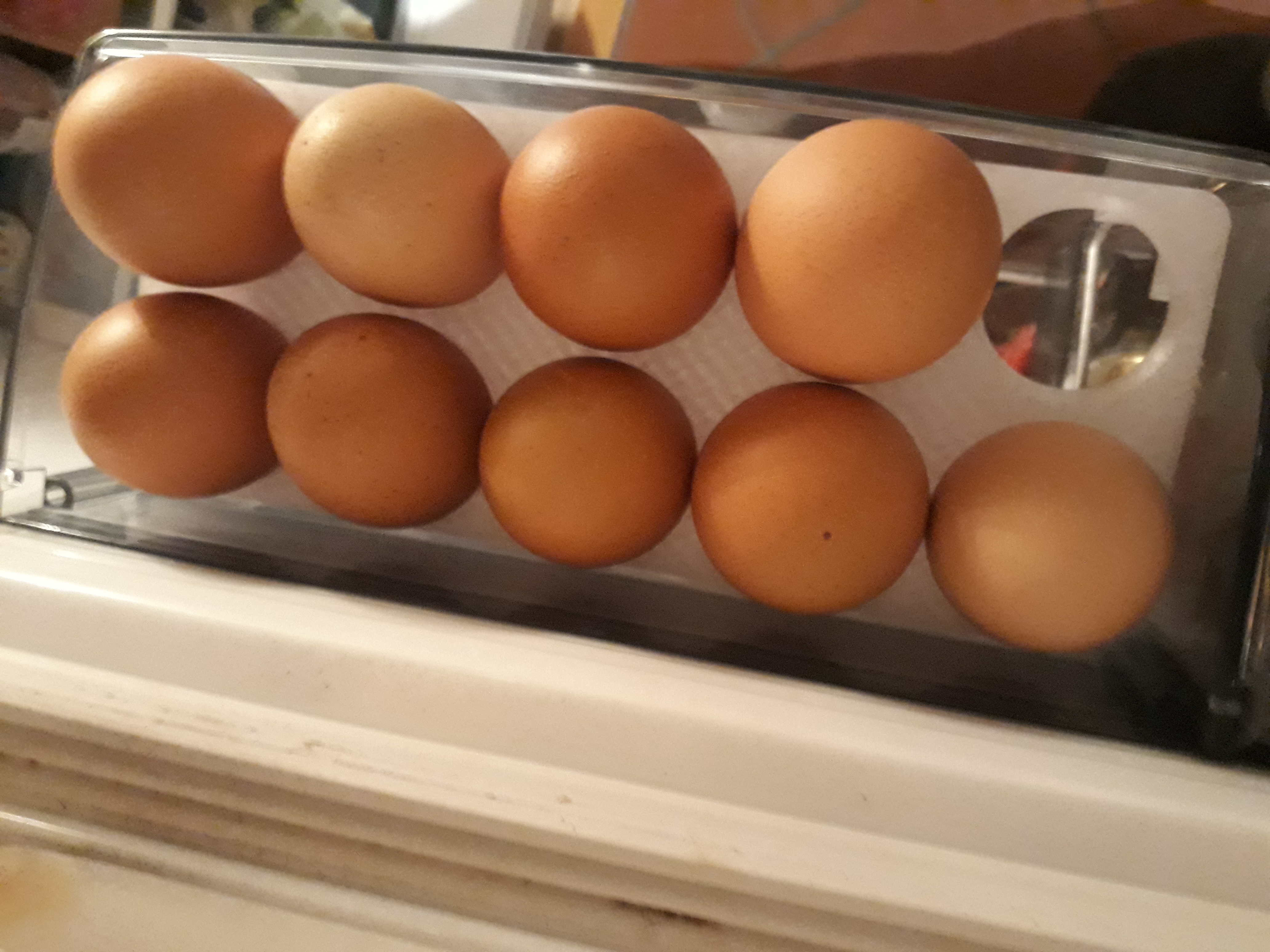 Parametric Egg Tray for AEG fridge