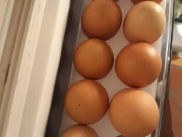Parametric Egg Tray for AEG fridge