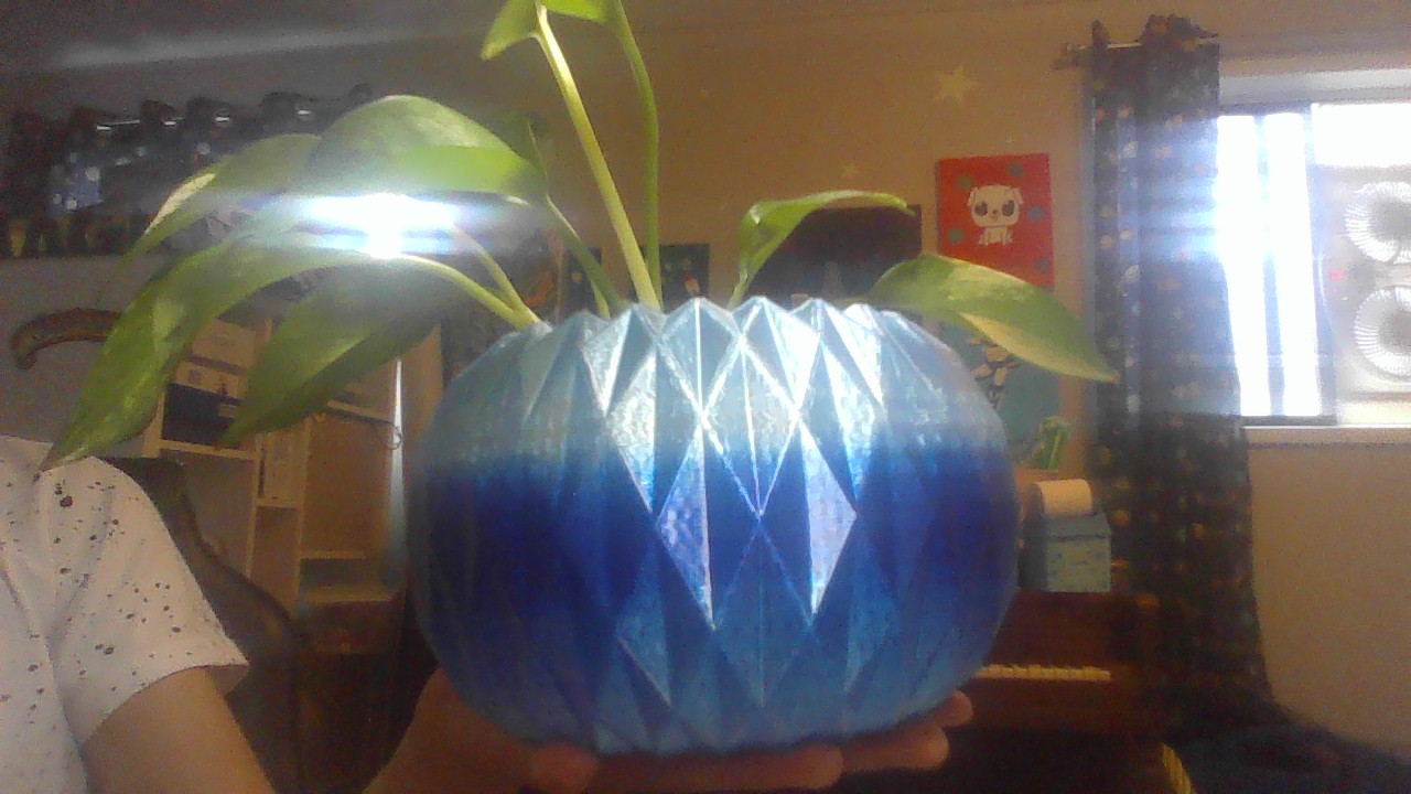 Flower pot
