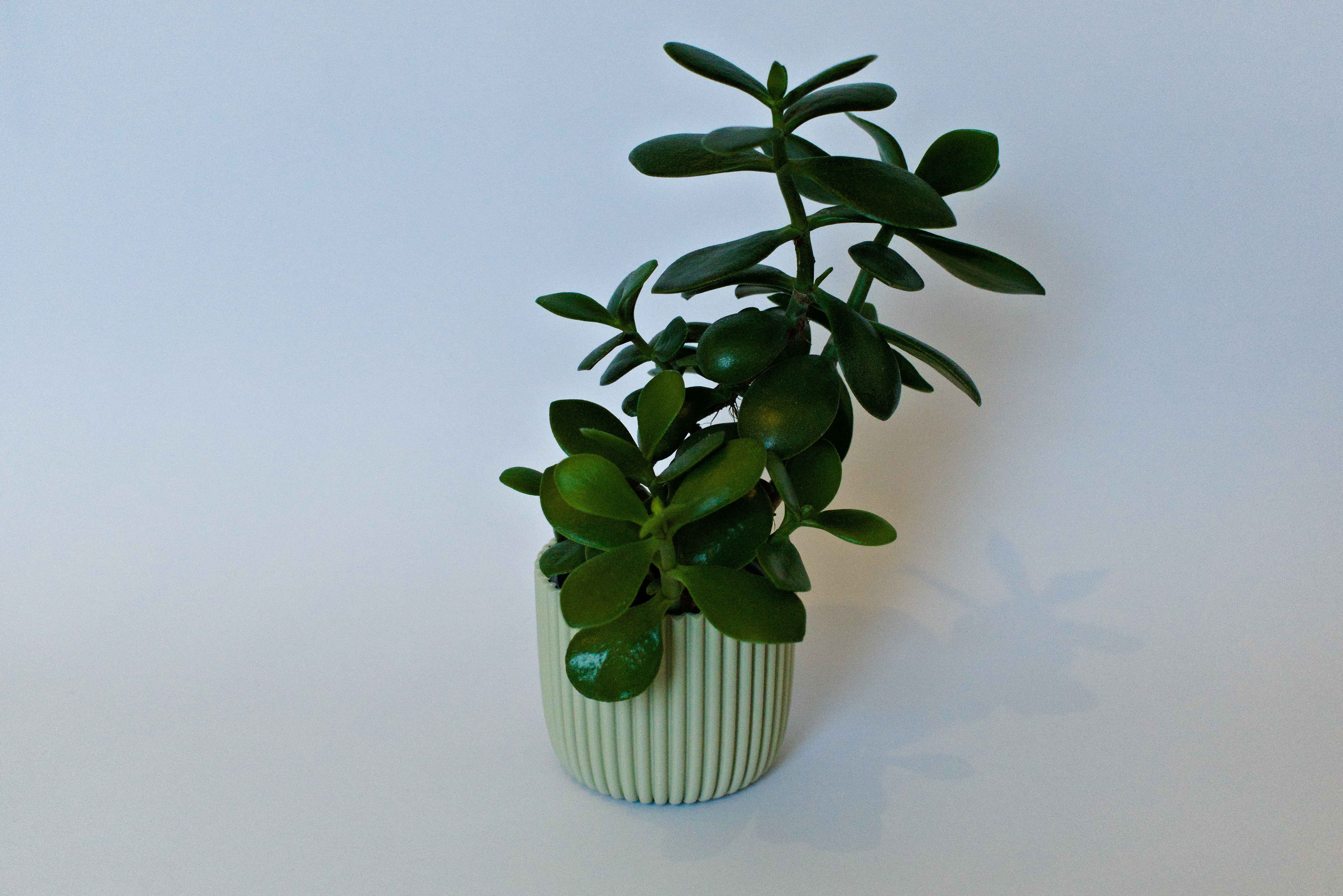 Planter Blumentopf 9cm