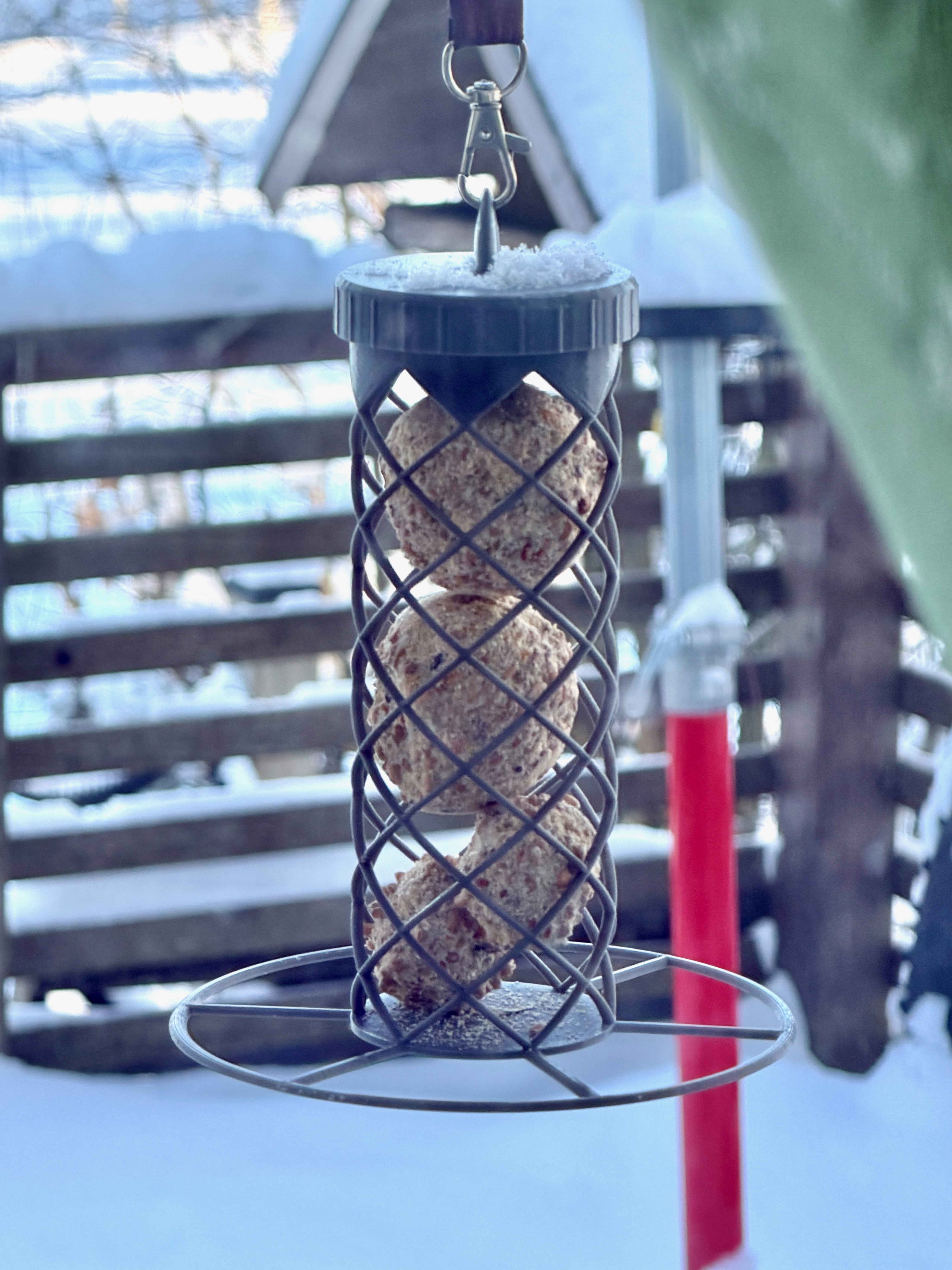 Fat ball bird feeder