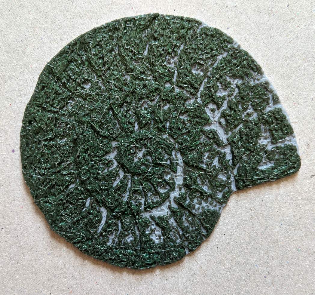 Fossilized Nautilus Shell