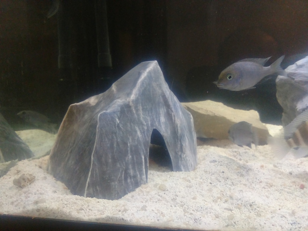 Aquarium decoration Textured rock cave Large by The Printed Aquarium Download free STL