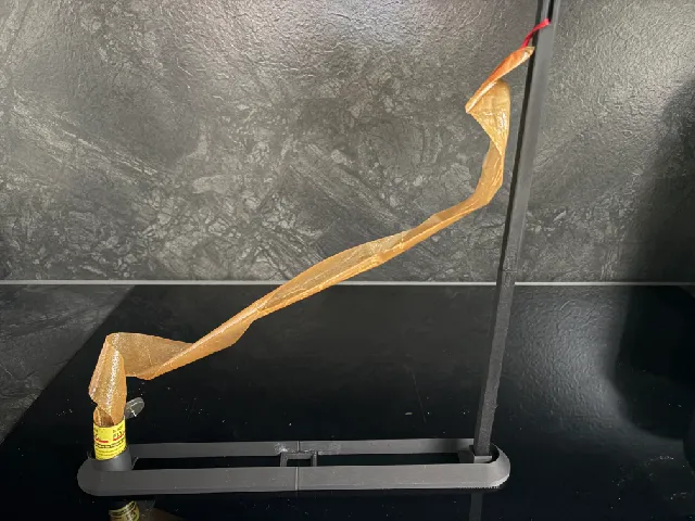 Fly trap holder