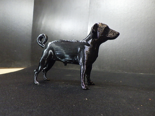 A a cute black dog named Joey.