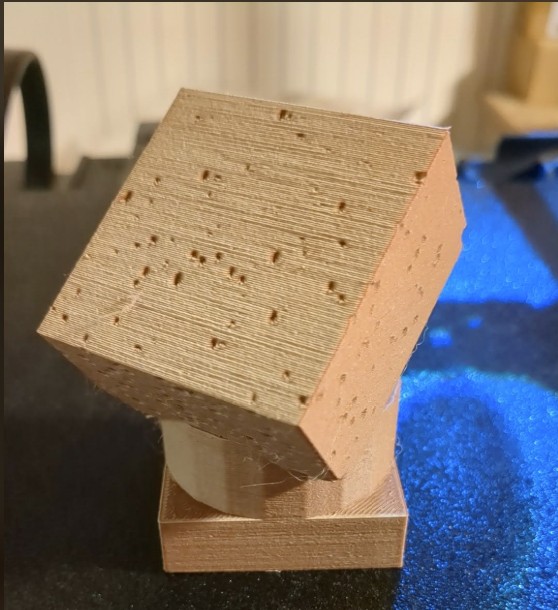 Brownie Trophy