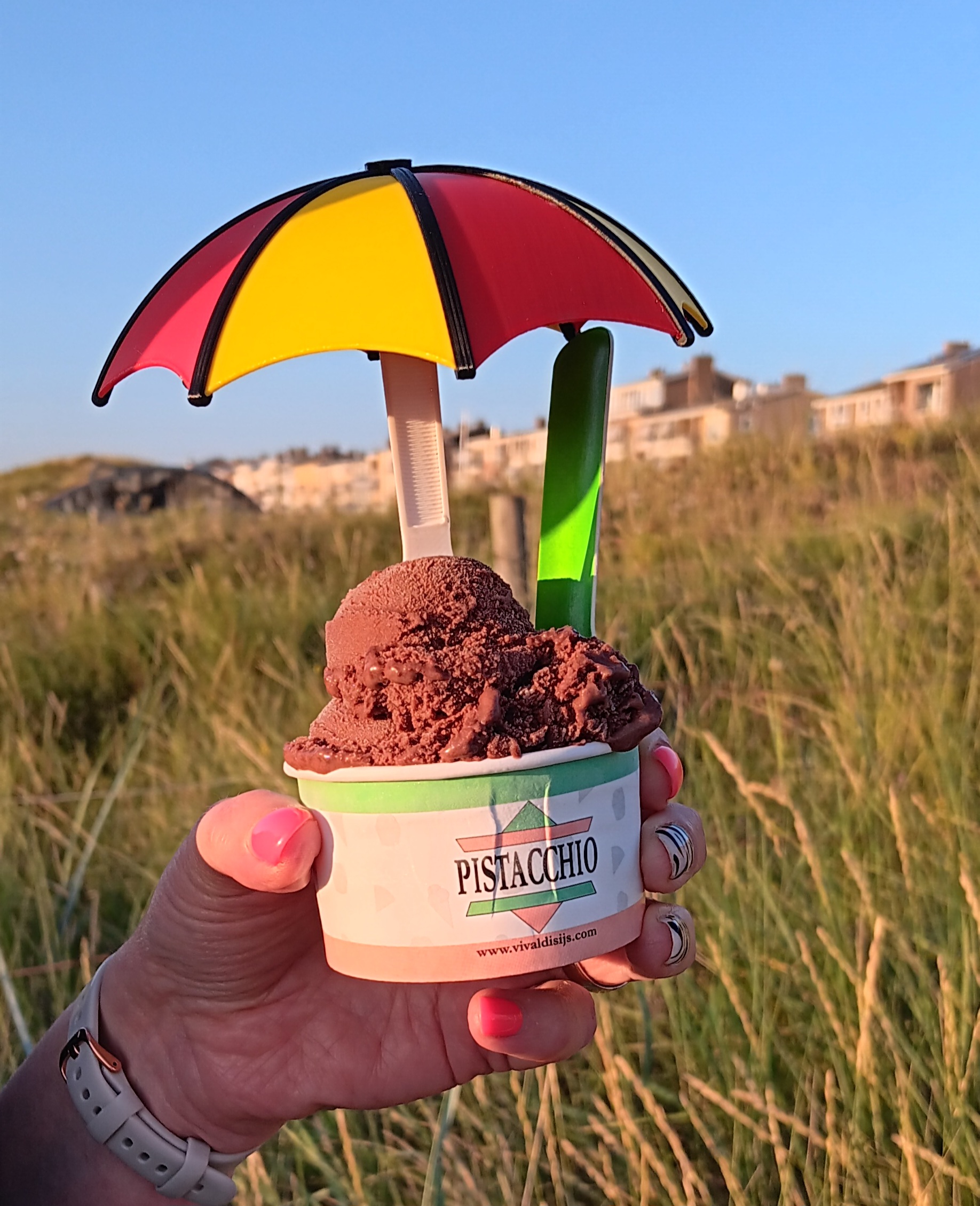 Icecream protector