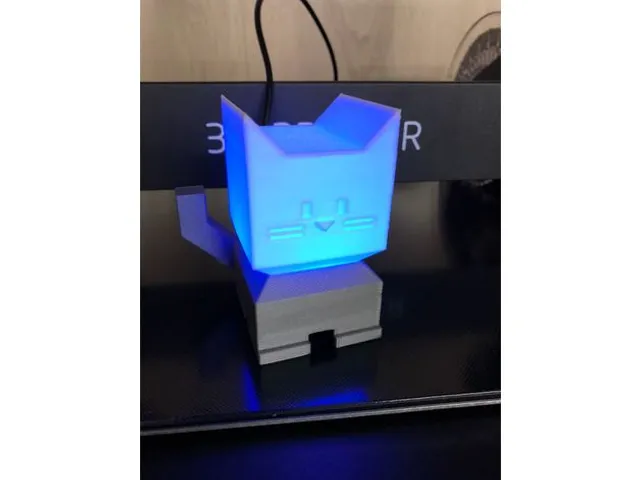 Illumination Cat