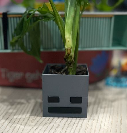 Skeleton Minecraft planter