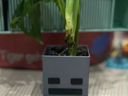 Skeleton Minecraft planter