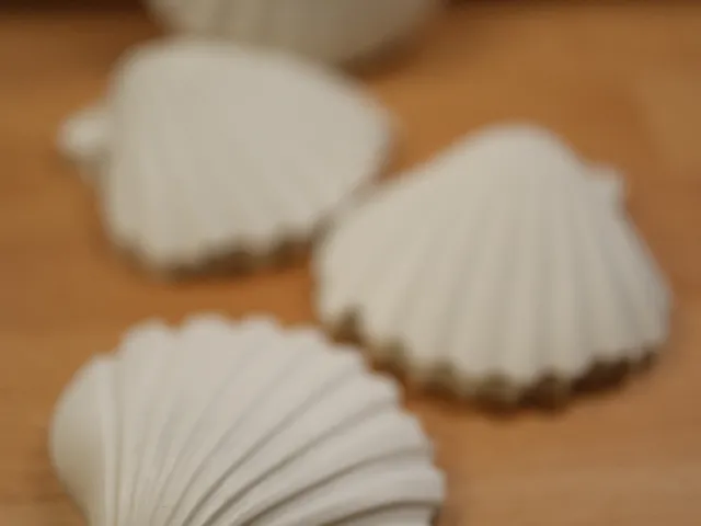 Bilderrahmen mit Jakobsmuscheln