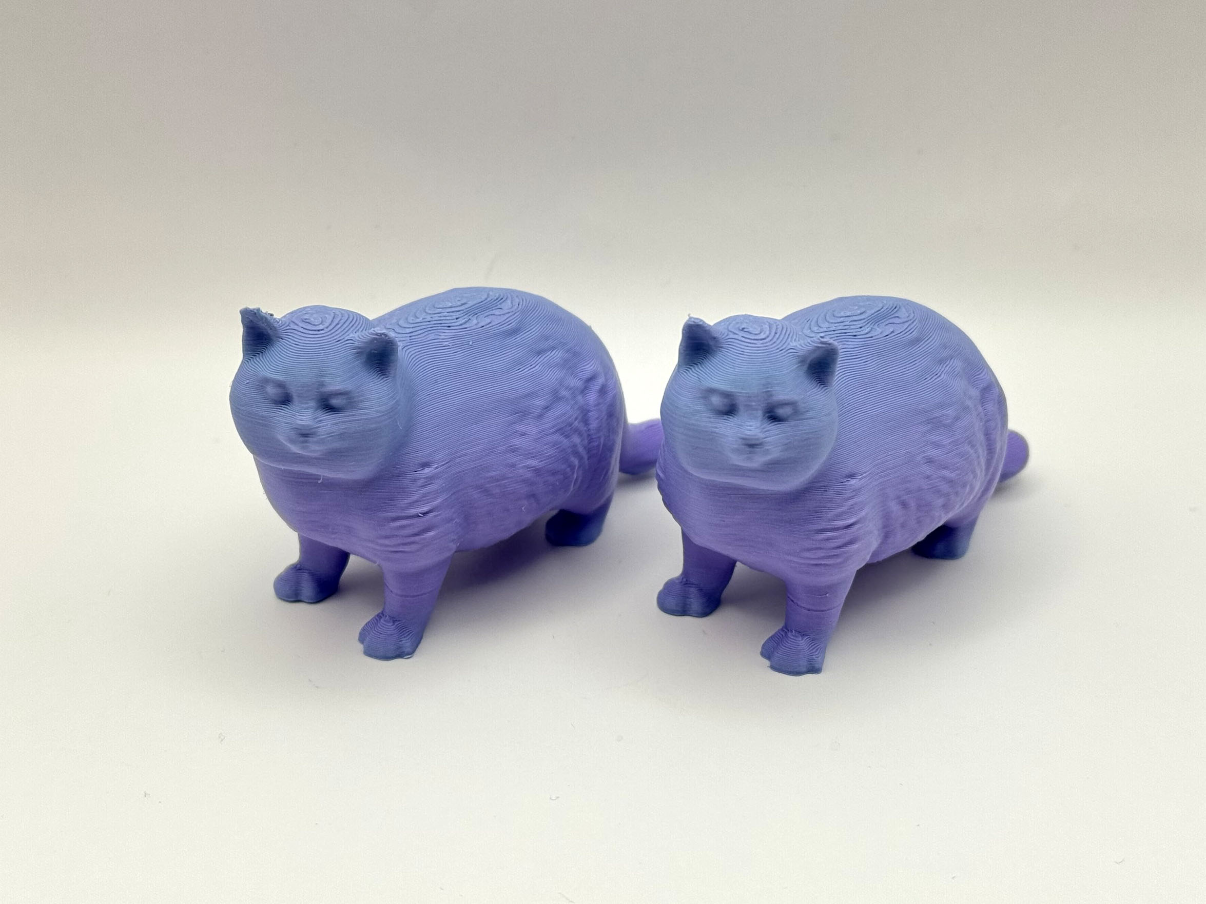 Chonky Kitty — miniatura 2
