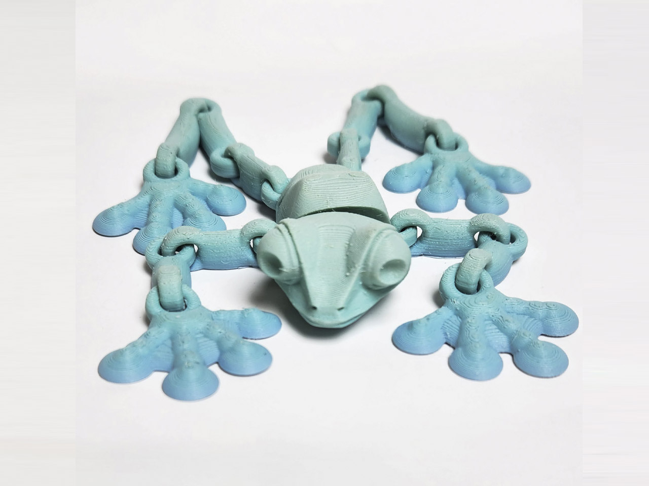 Frog