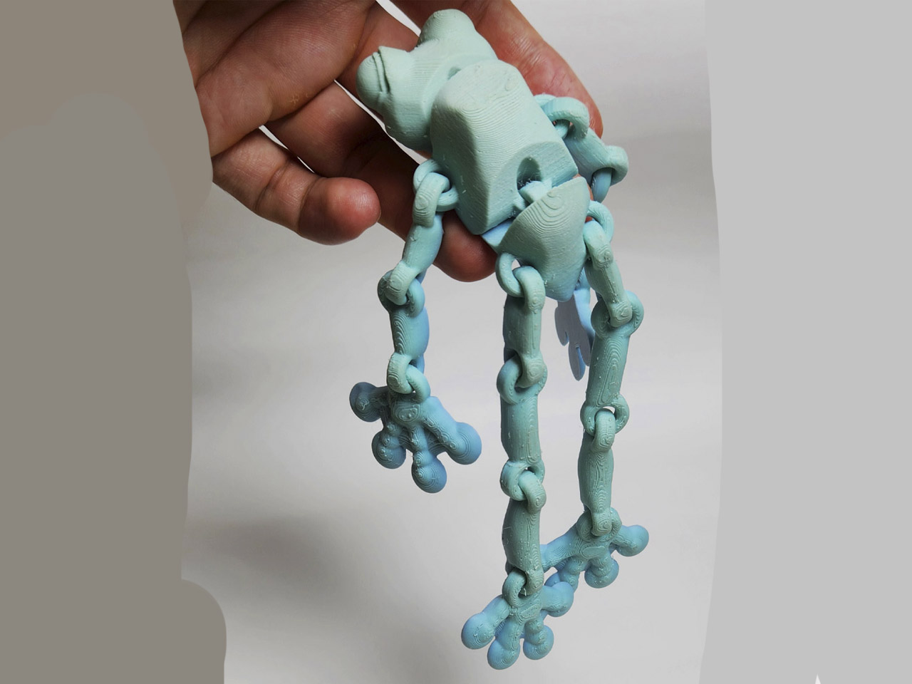Miniatura 5 do modelo 3D Frog