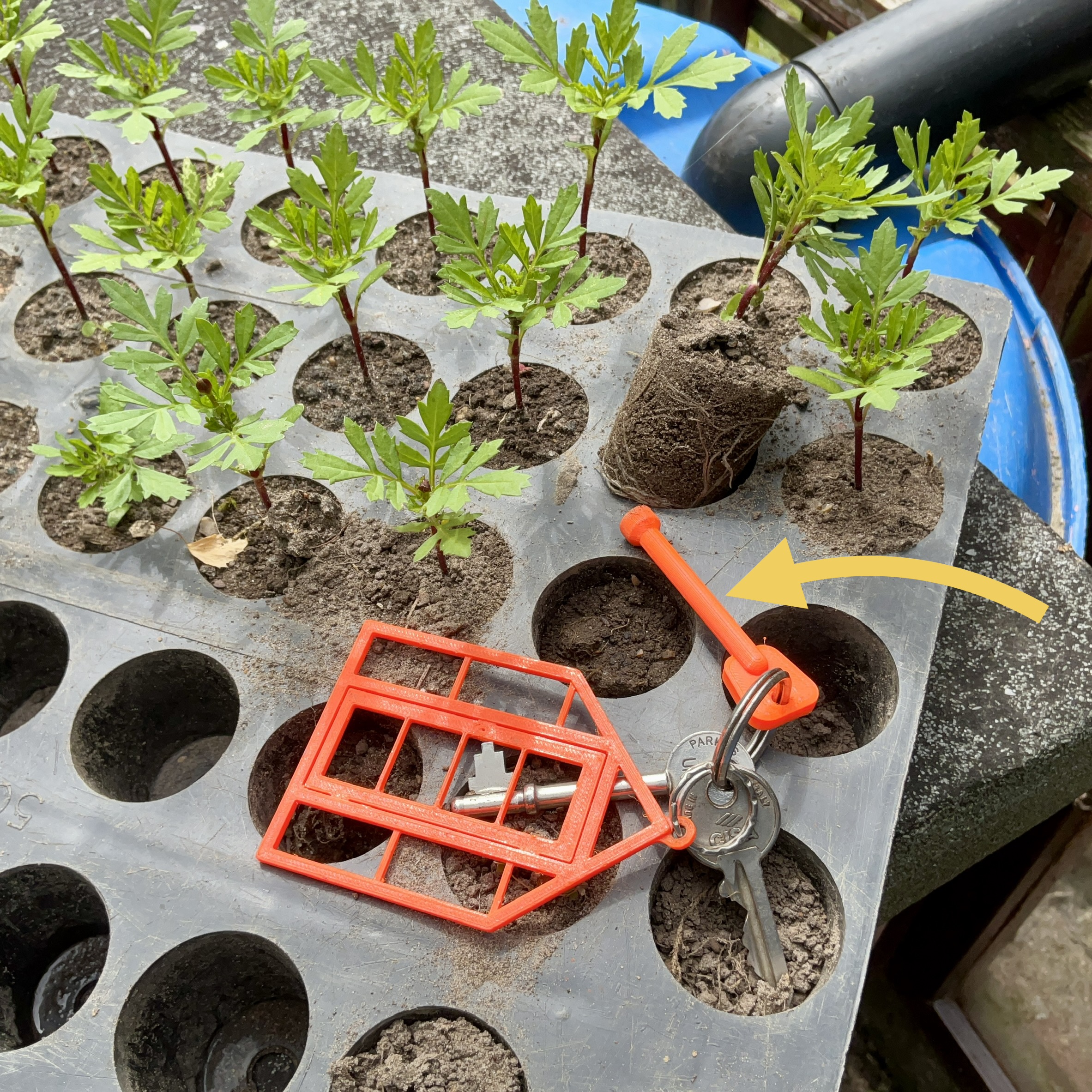 Plant Plug Remover