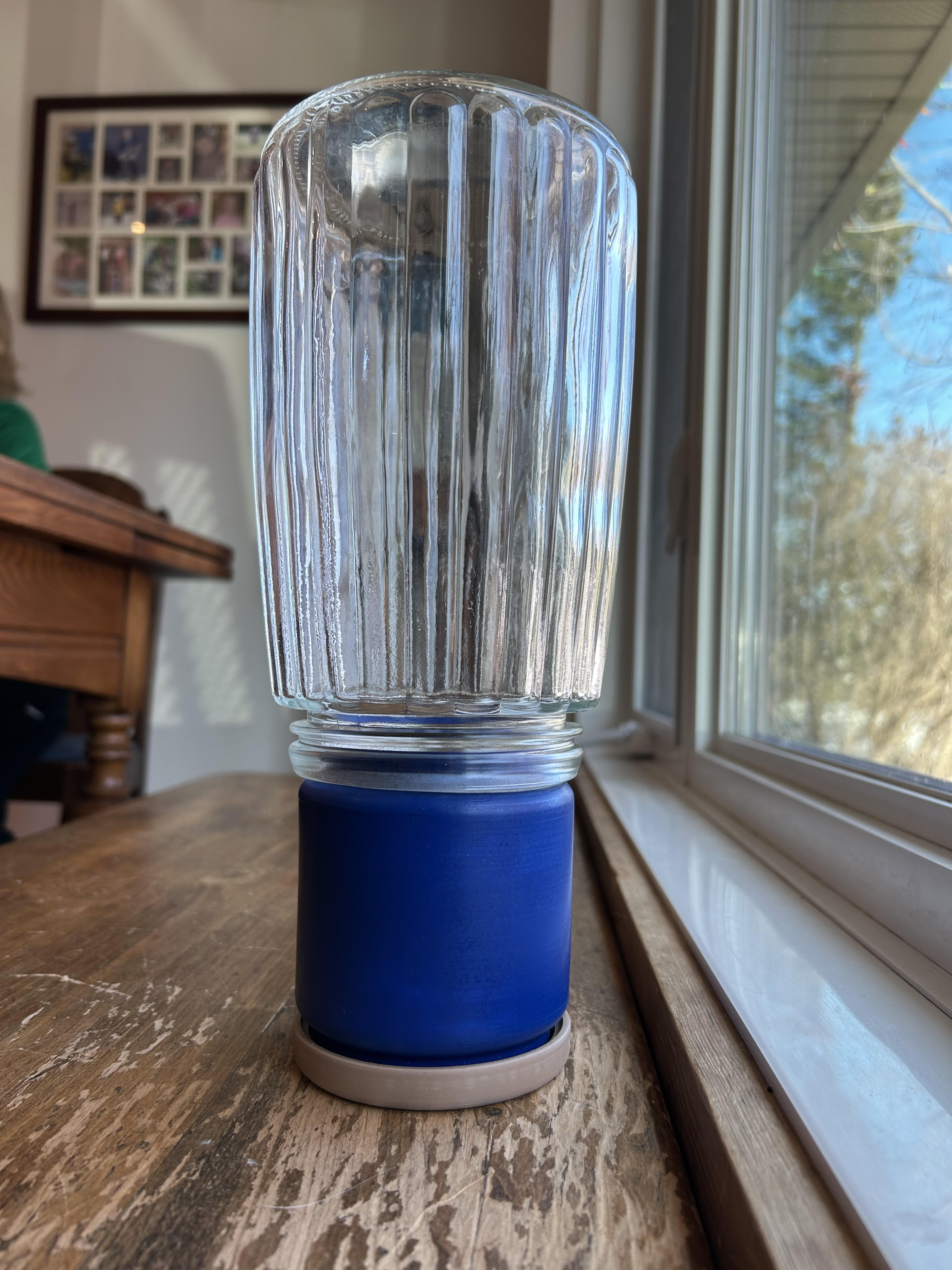 Terrarium Plant Pot