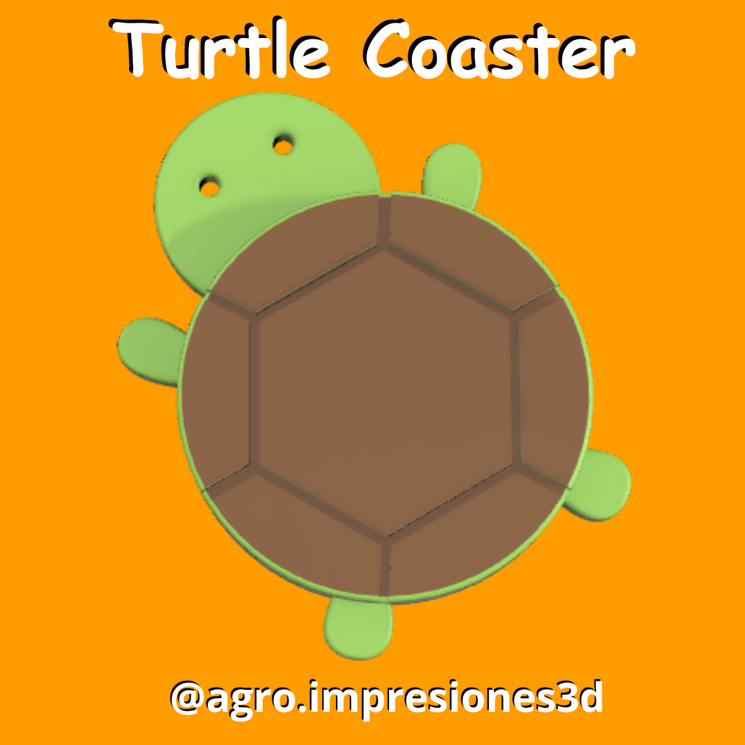 Turtle Coaster