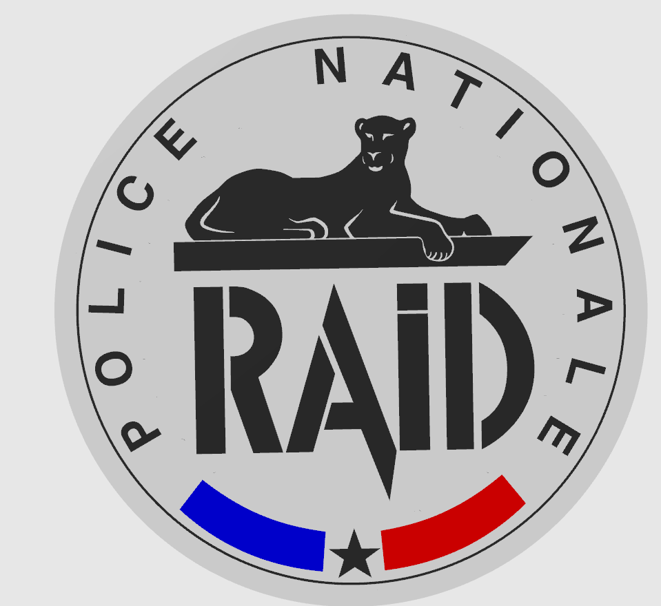 RAID Lightbox