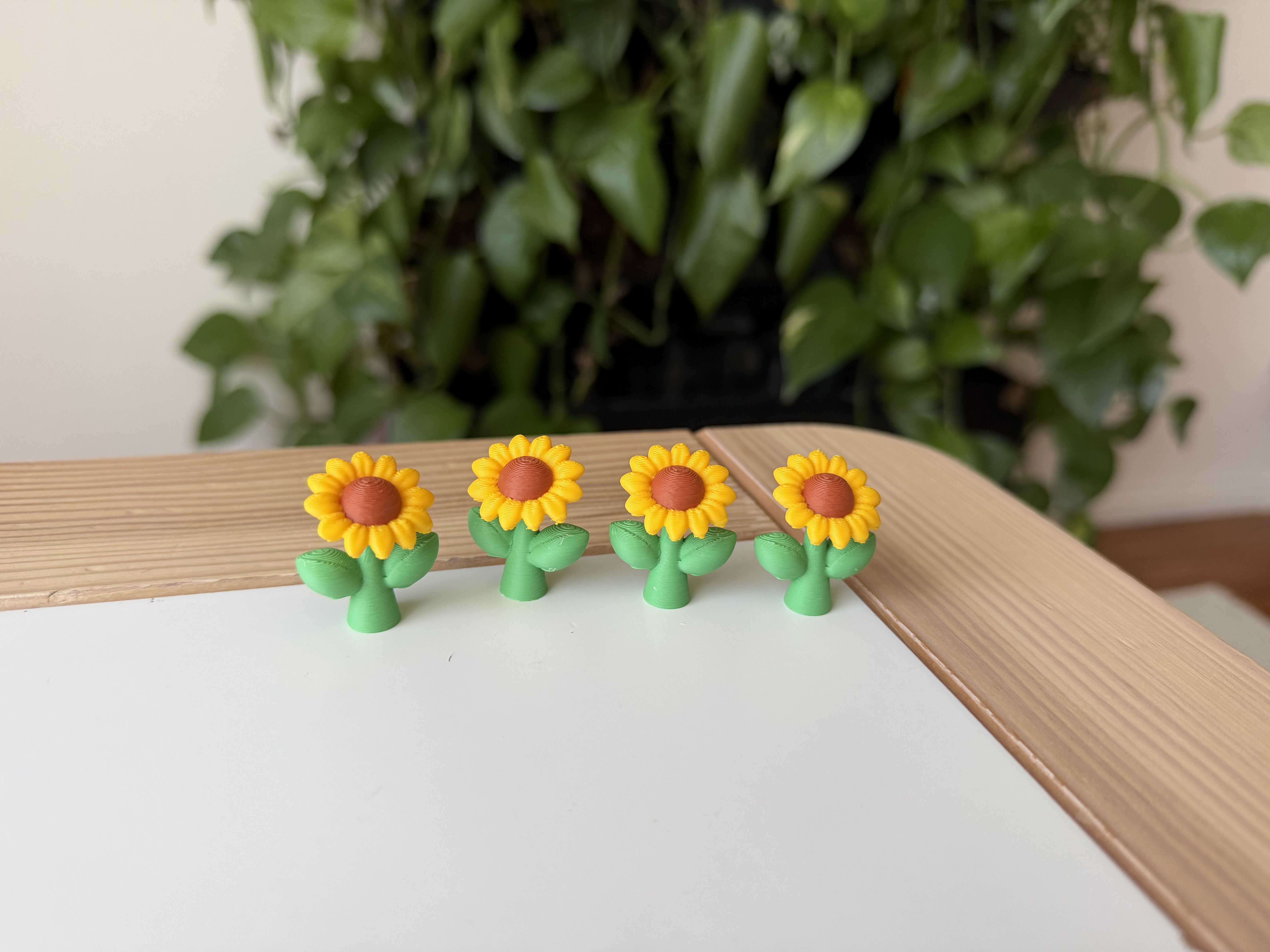 Sunflower — miniatura 4