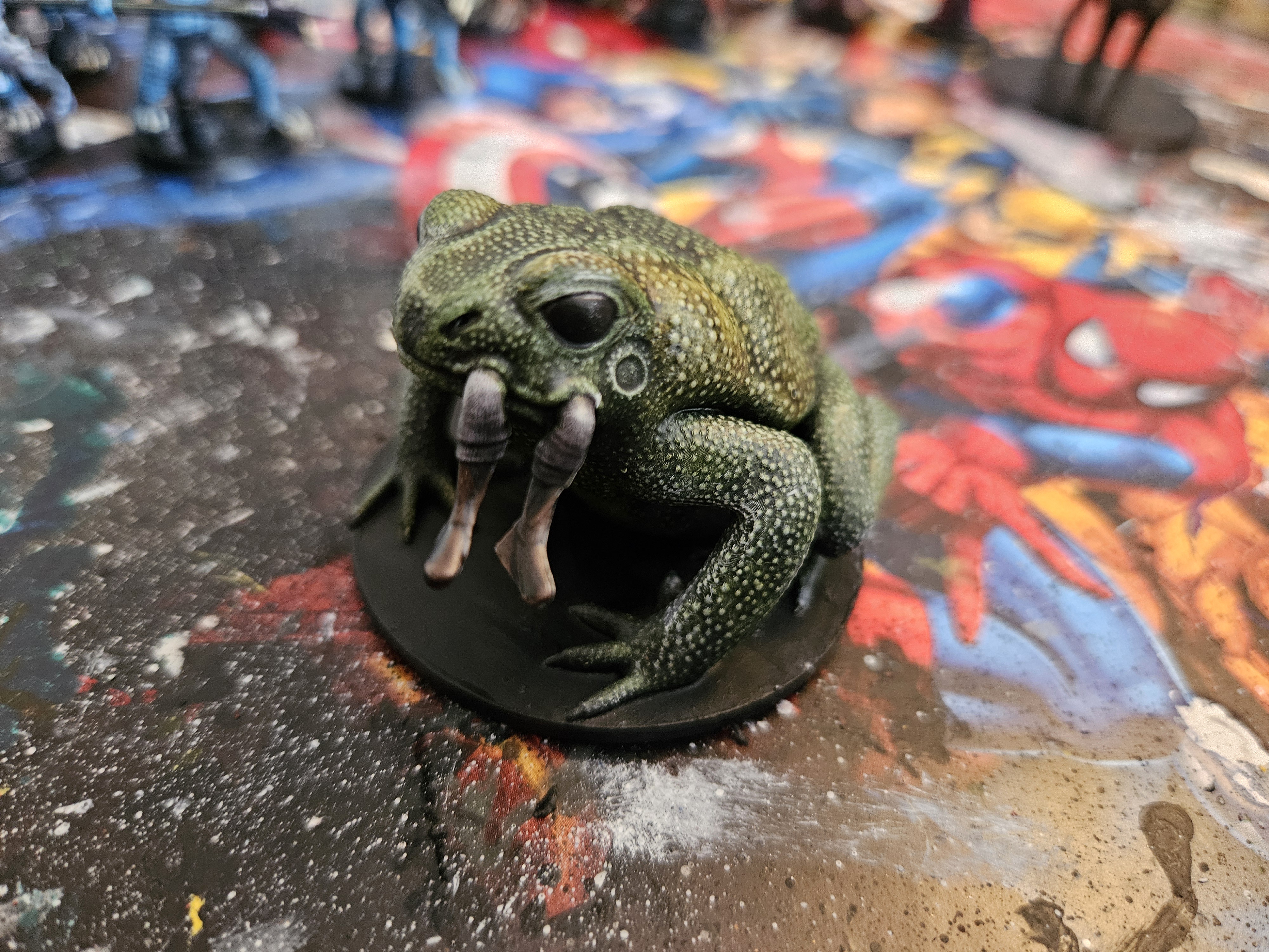 Sapo Gigante - Giant Toad