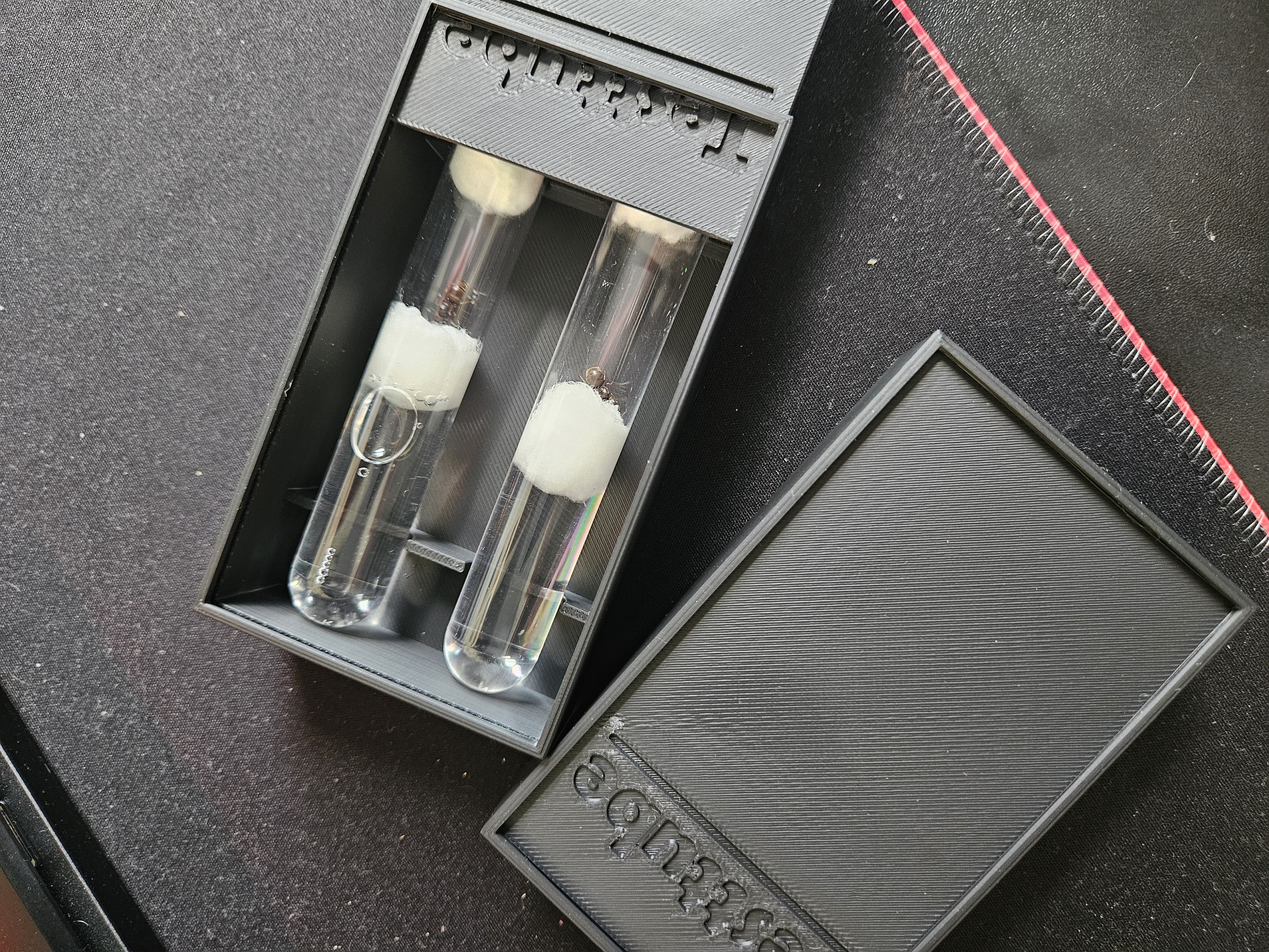 Testtube Box, Ant Queen, Reagenzglas, Ameisenkönigin