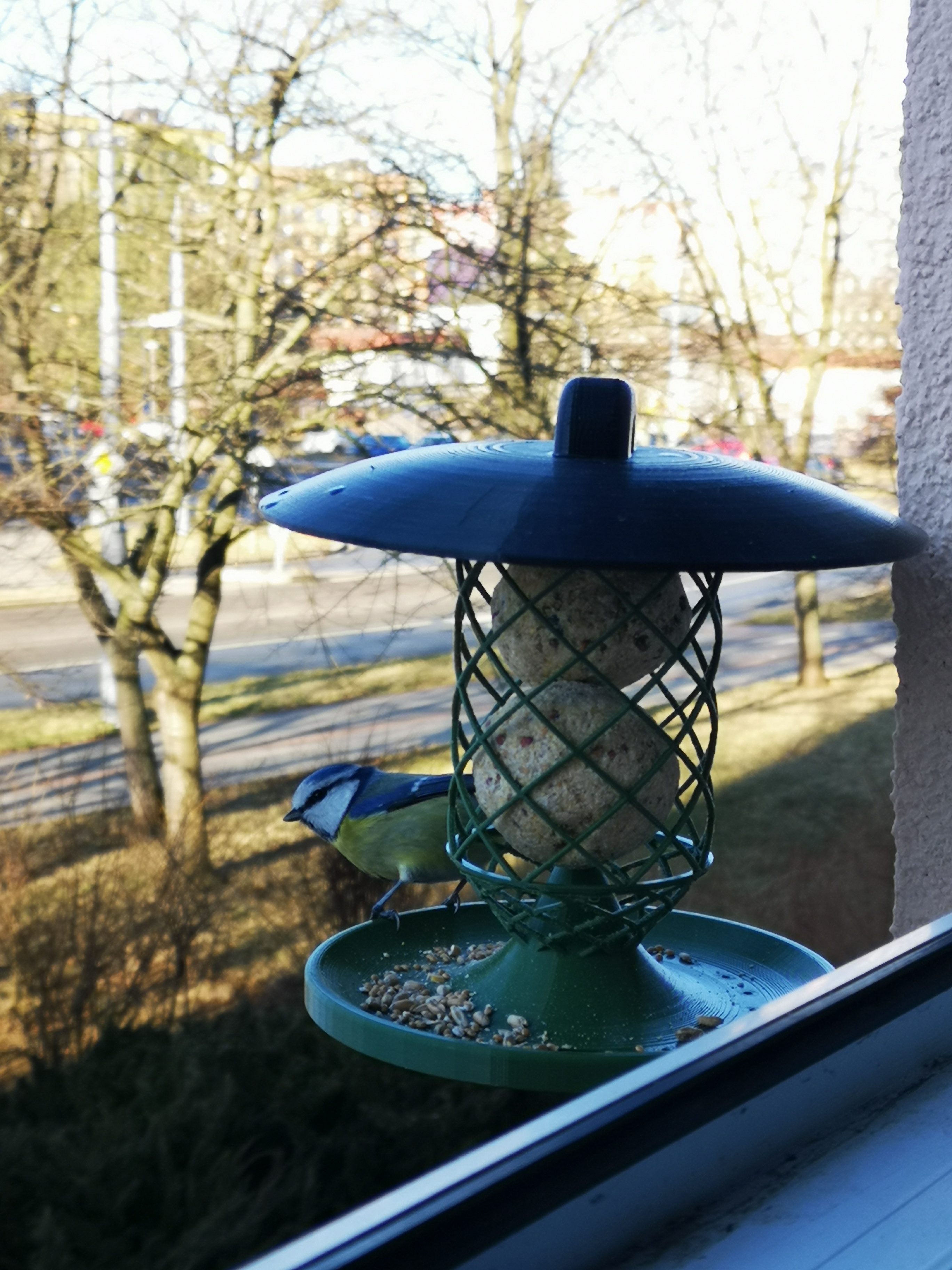 Krmítko pro ptáky na lojové koule bird feeder