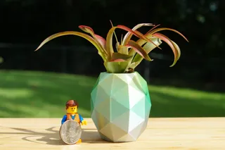 Pineapple Mini Air Plant Vase