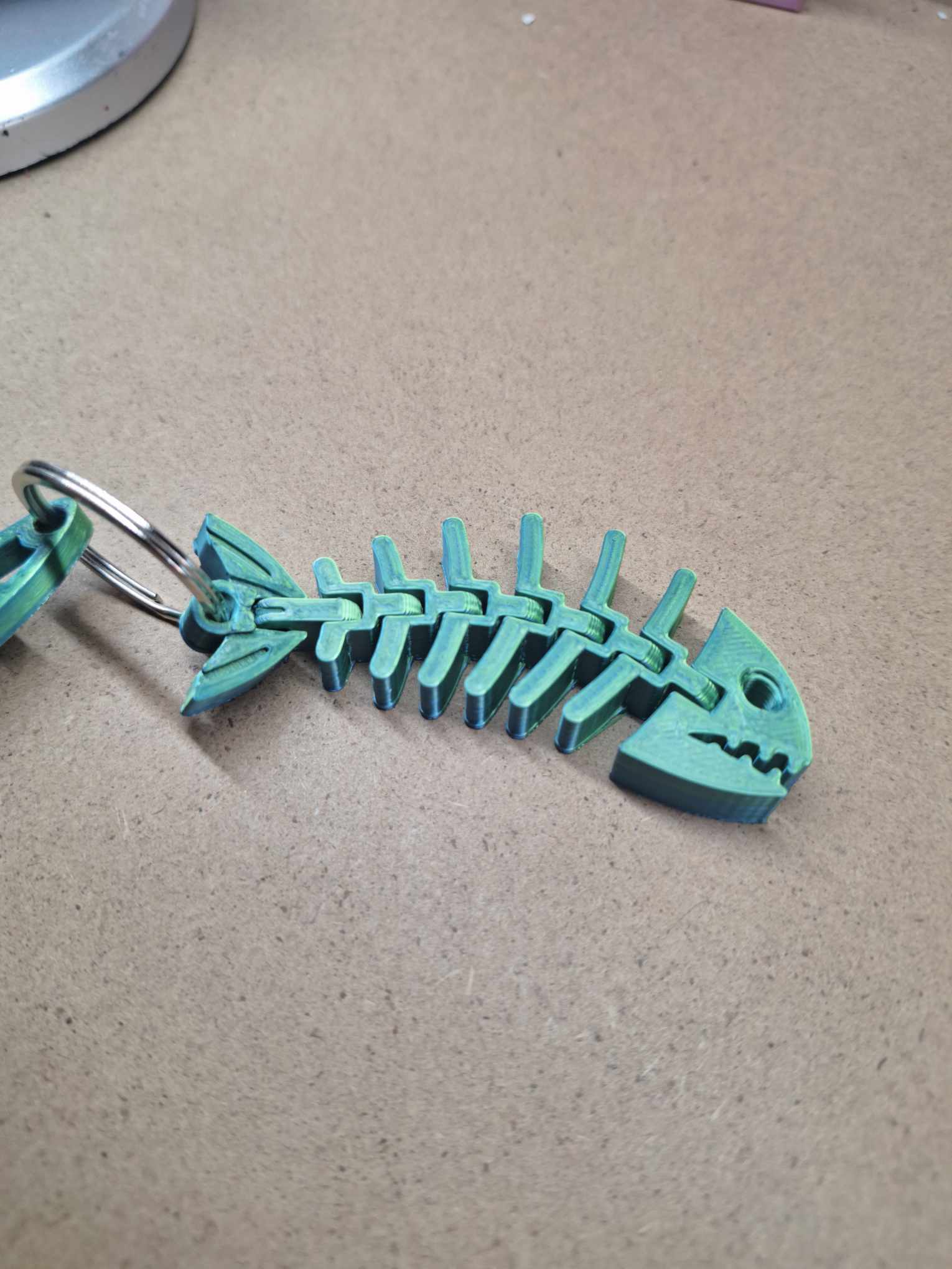 shark