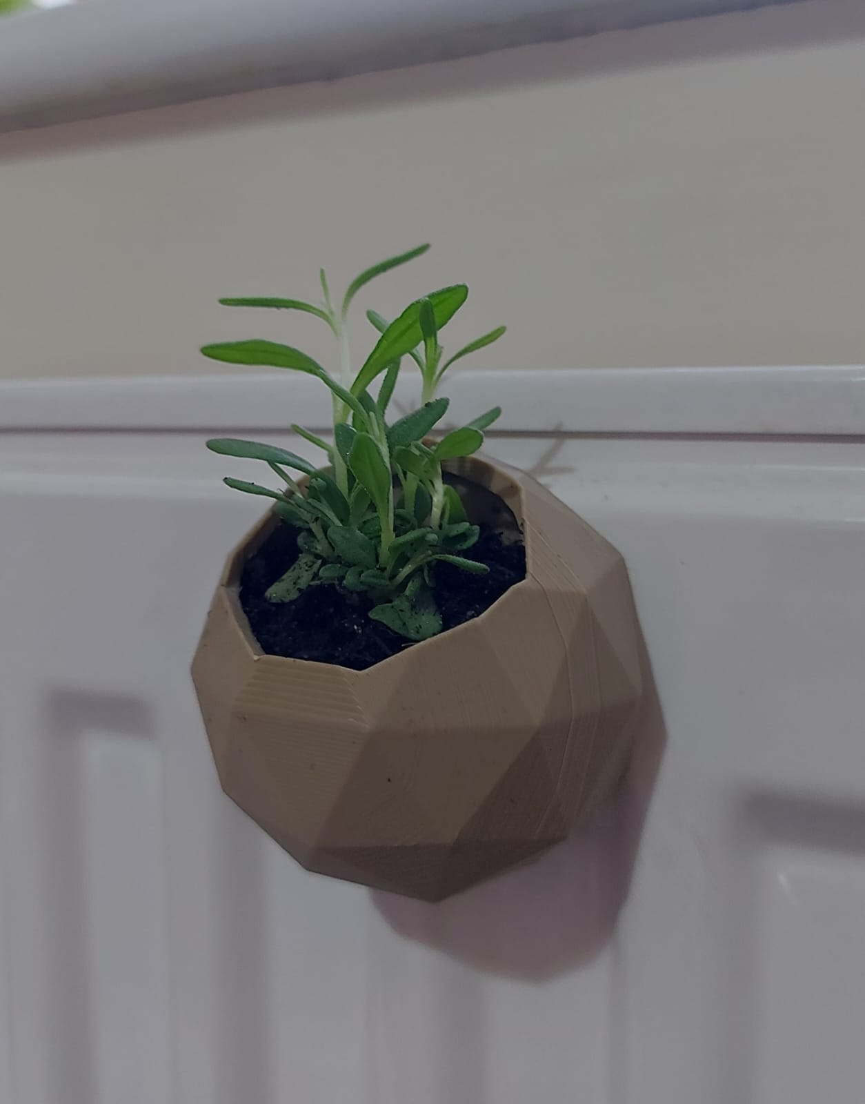 Plant Pot Fridge Magnet