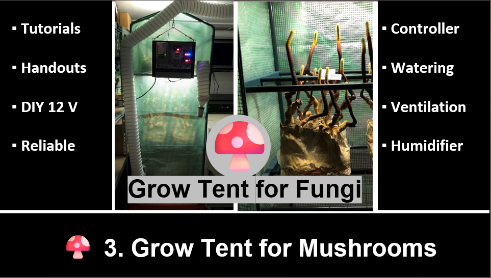 3.00 - Grow Tent for Mushrooms - Overview
