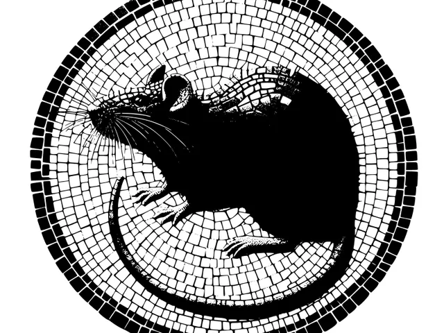 Rat 4 (two colours)