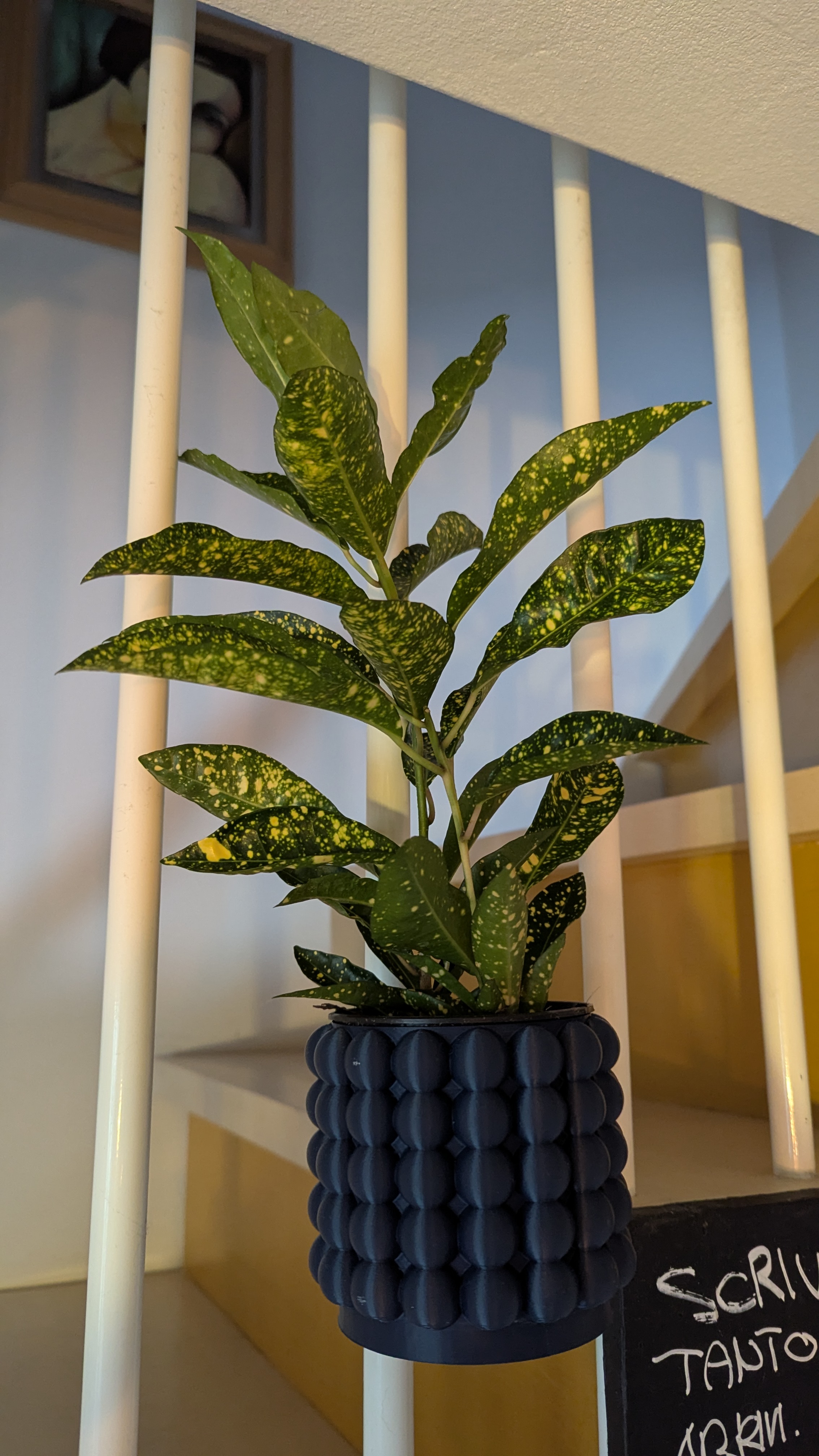 Plant potwith hanger