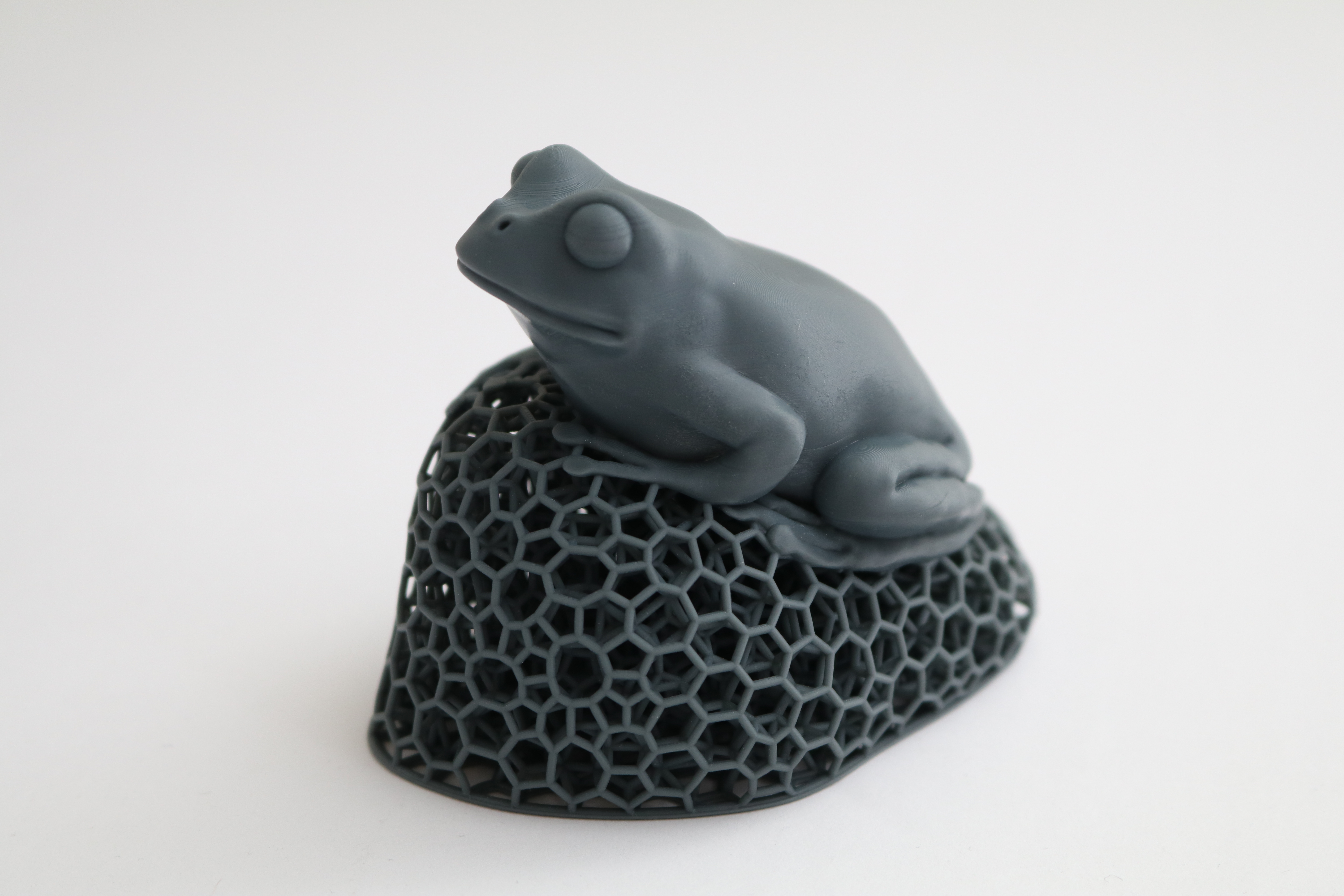 Voronoi Lattice Frog