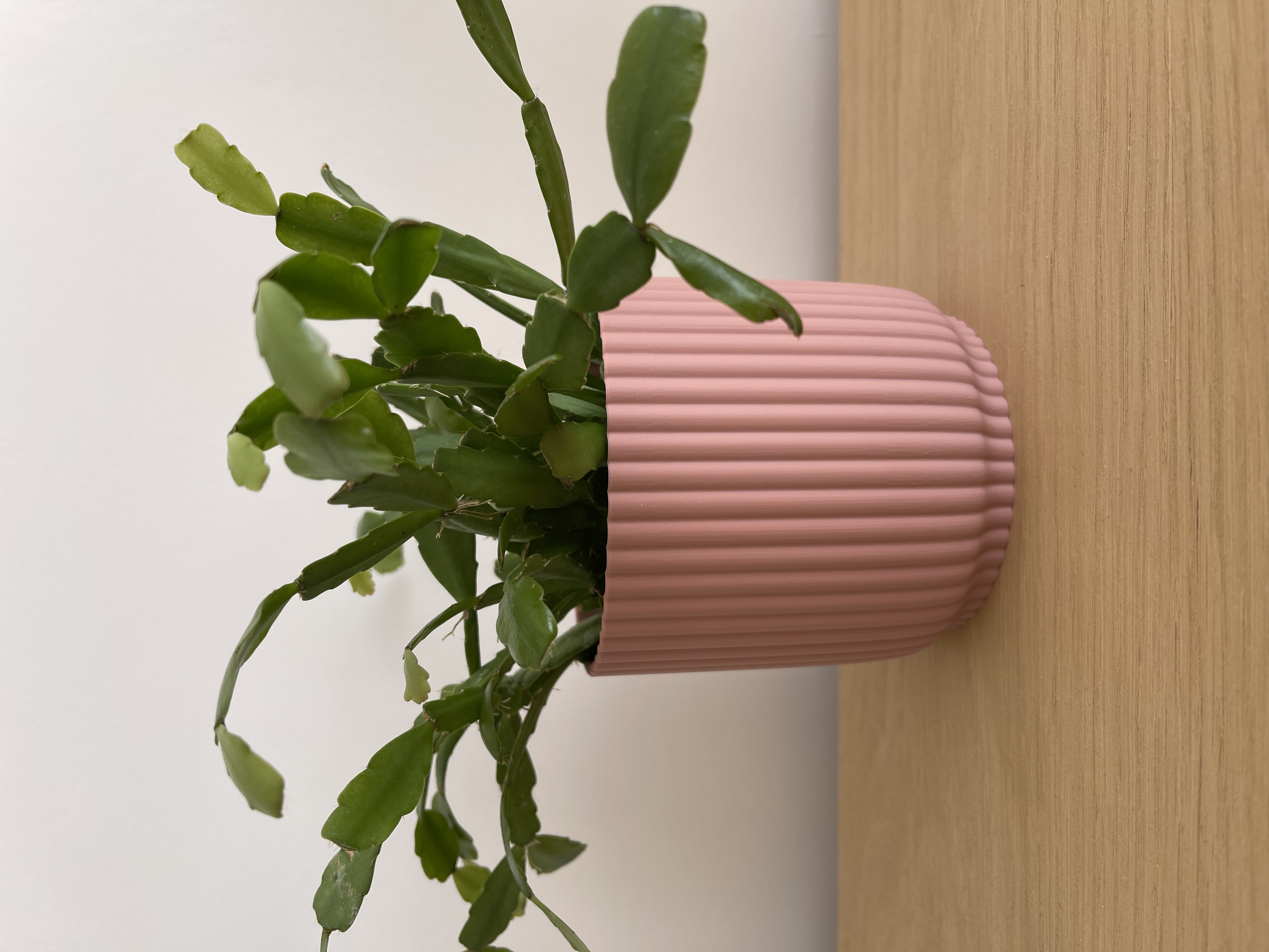 Plant Pot (elho inspired)