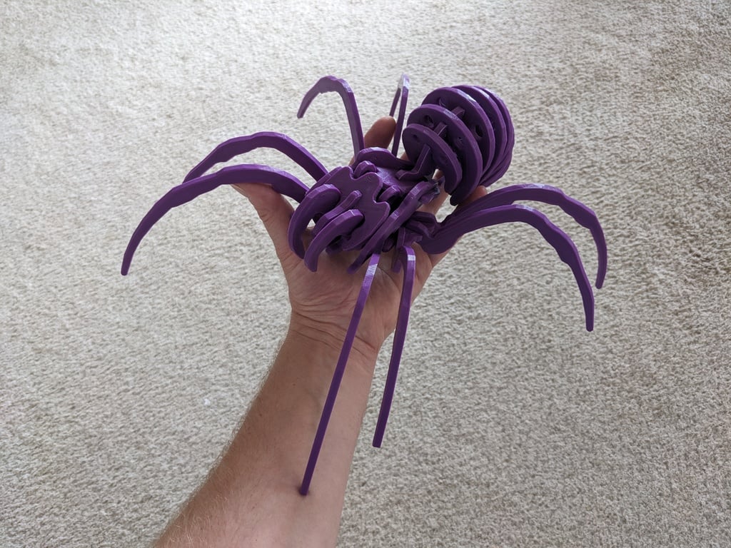 Spider Kit - Large - Separated