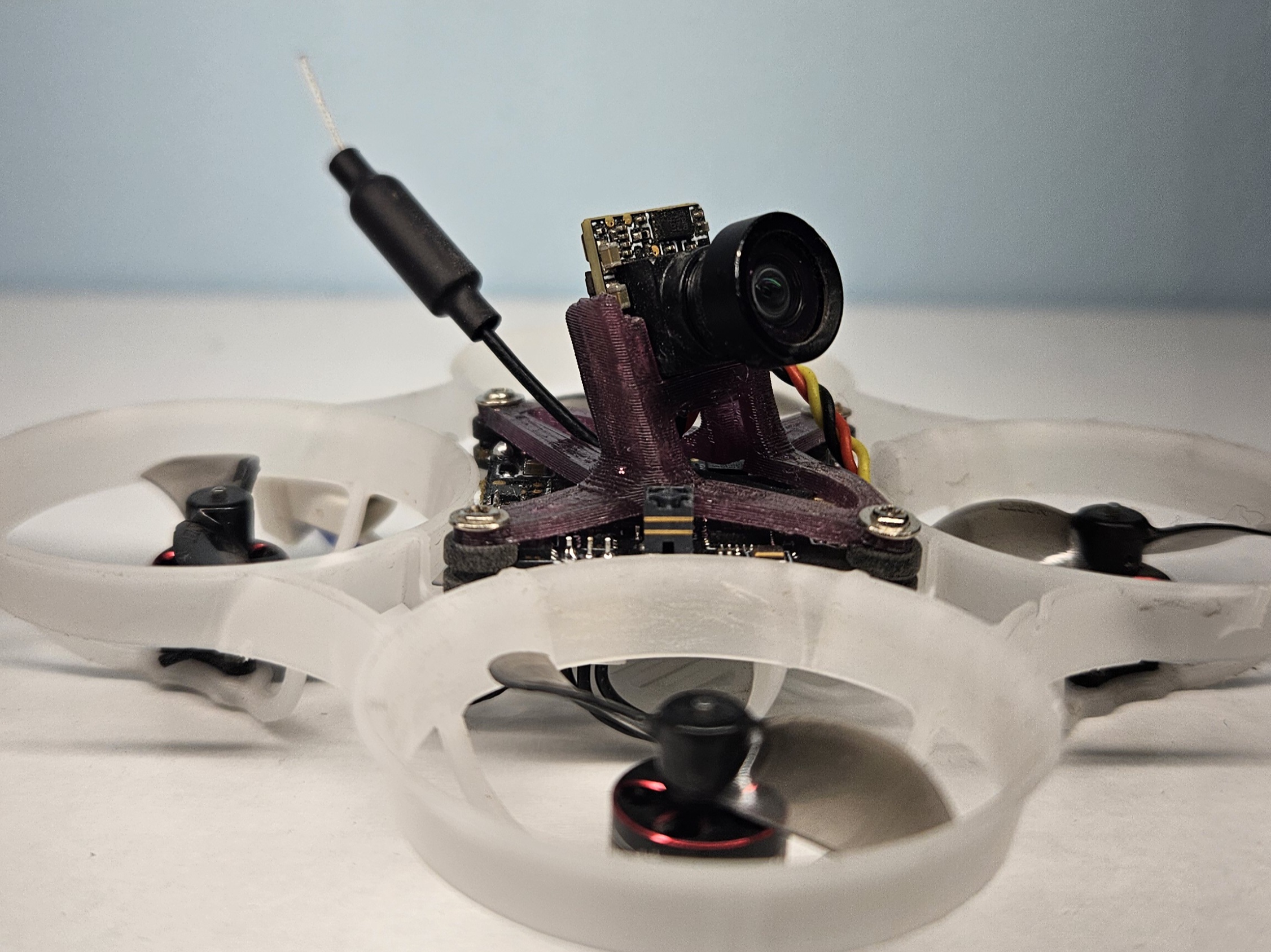 Tiny Whoop Canopy