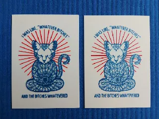 Whatever bitches, funny pic