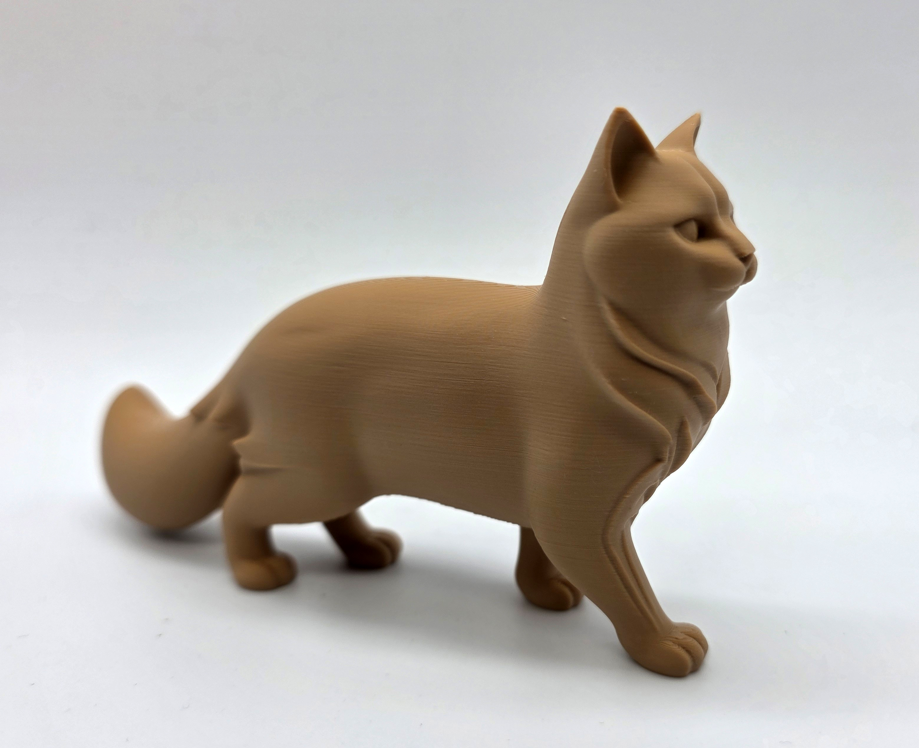 Walking Cat Fluffy Tail — thumbnail 2
