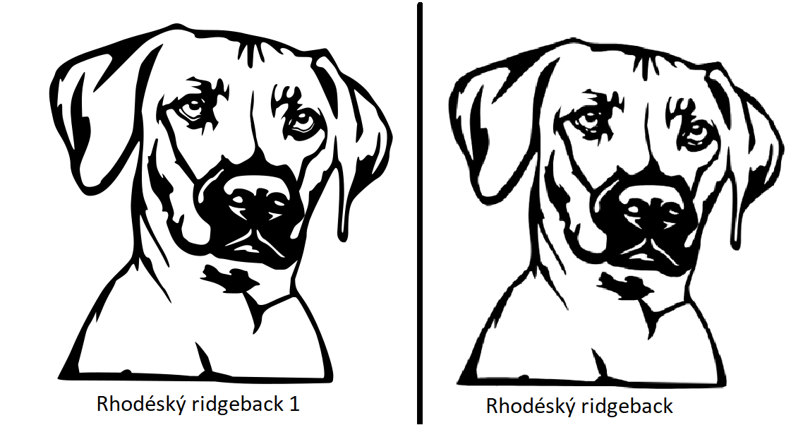 Dog wall, Rhodéský ridgeback, dekorace, decoraction