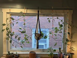 Chain Link Hooks