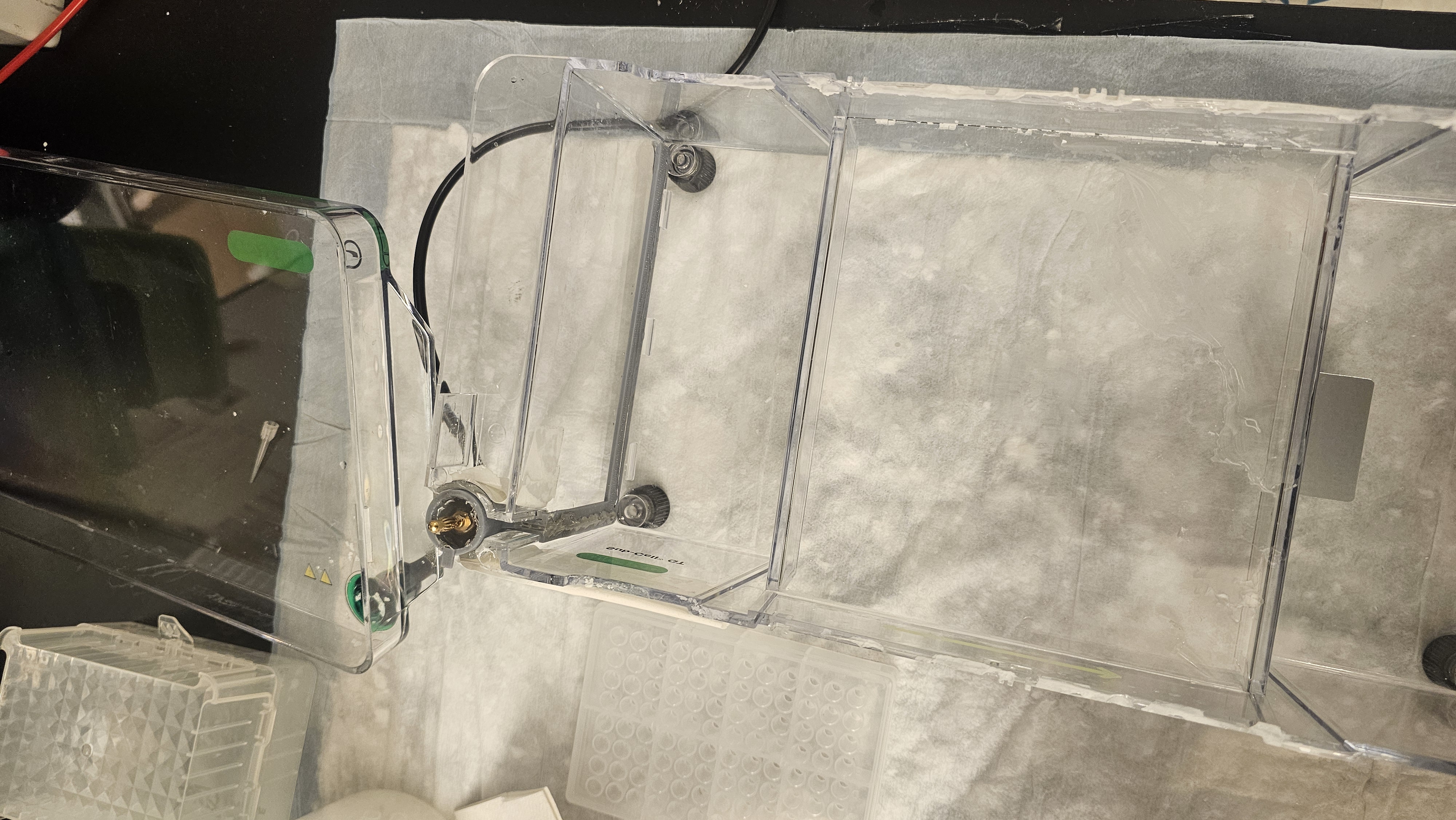 Biorad Subcell GT electrode