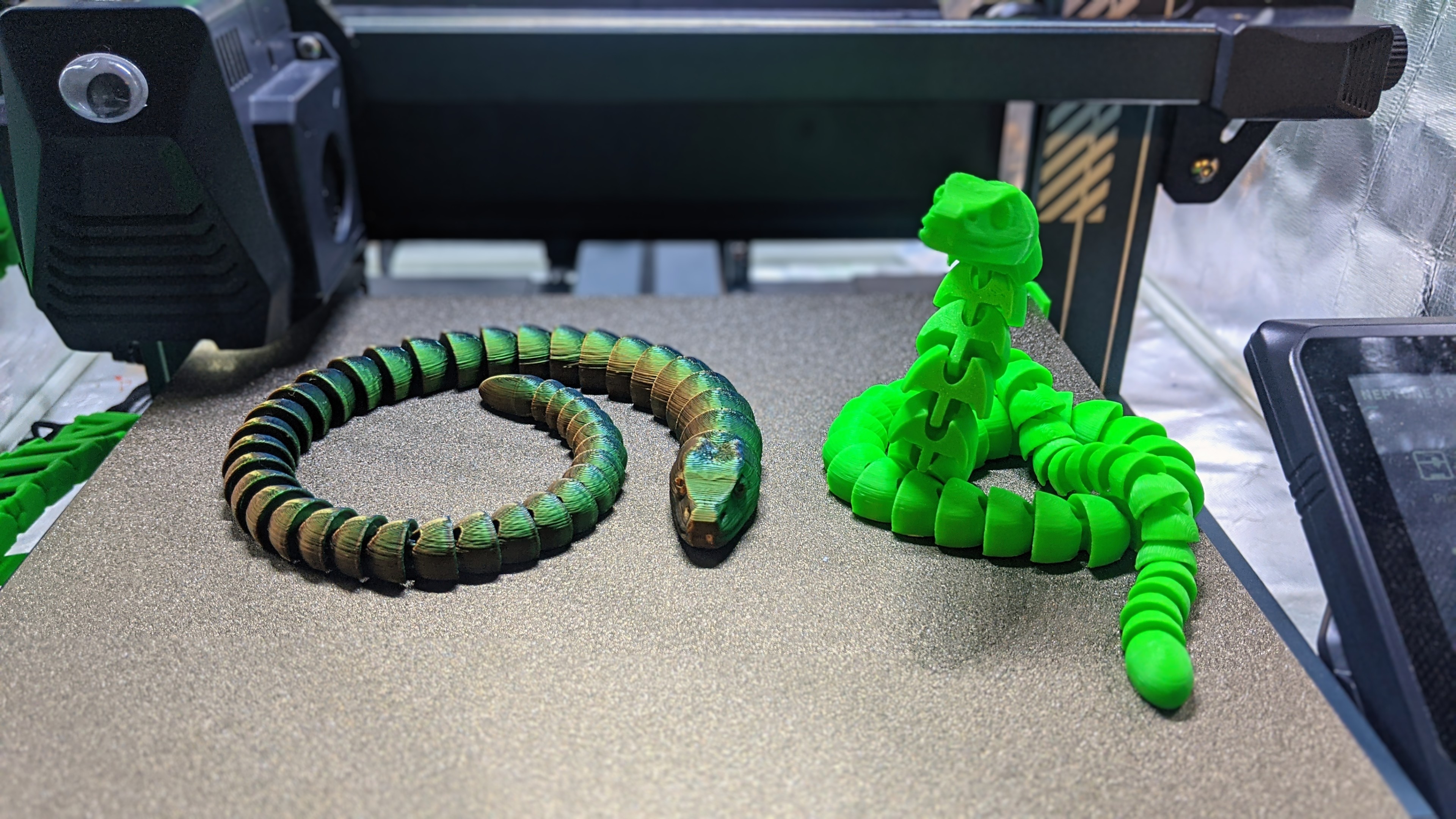 snake