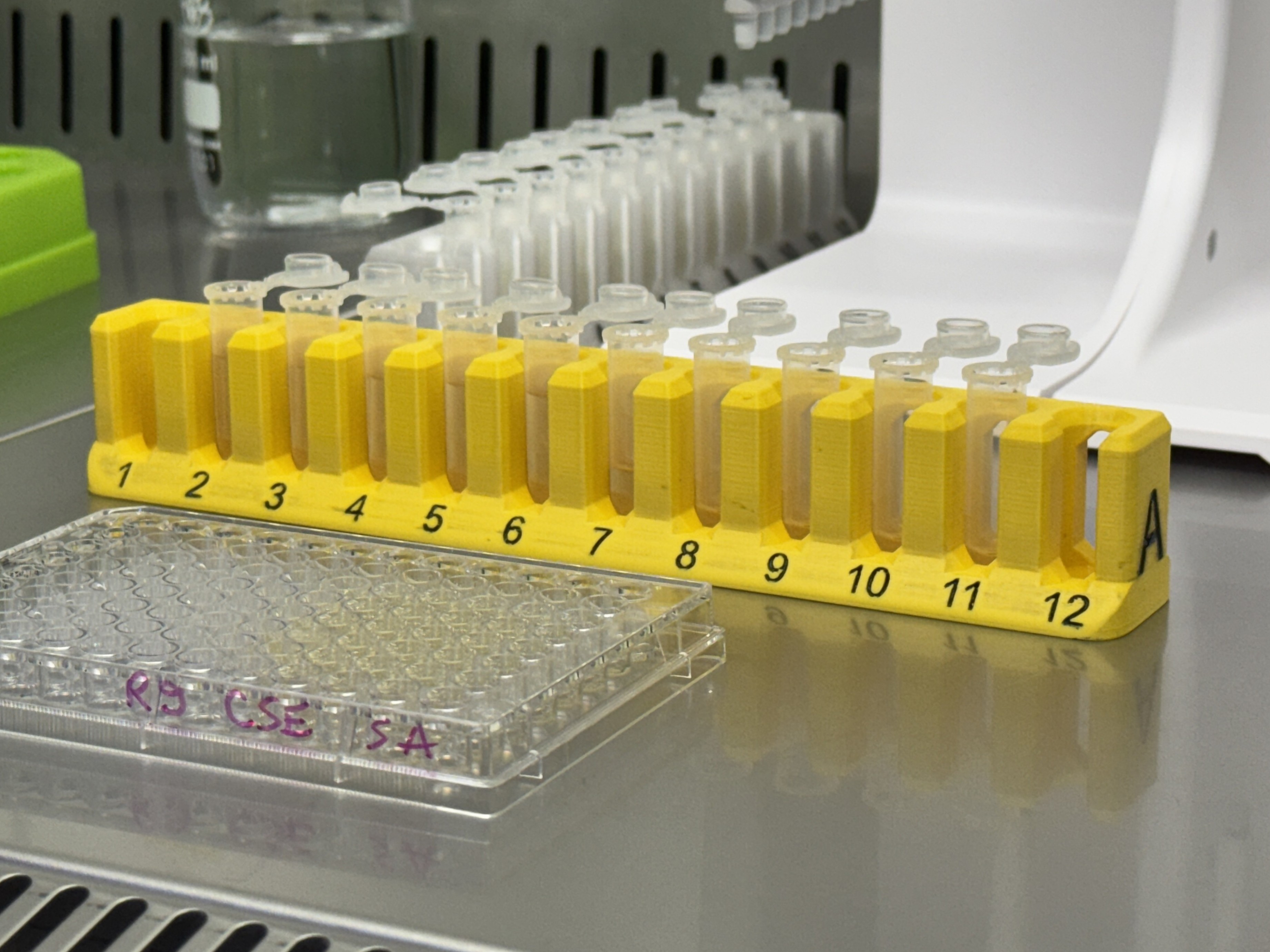 Lab tube rack (2ml x 12) - numbered