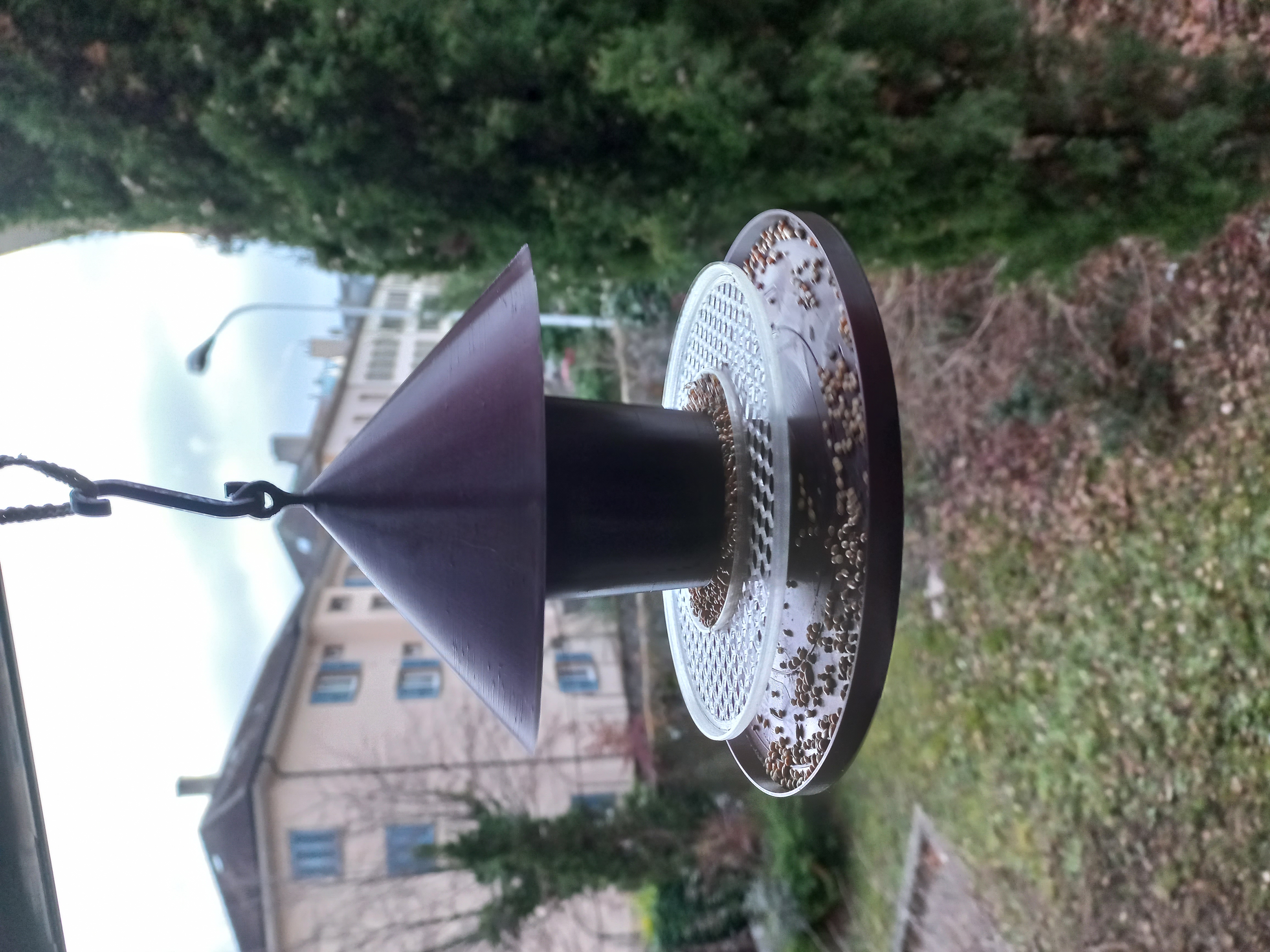 Bird feeder